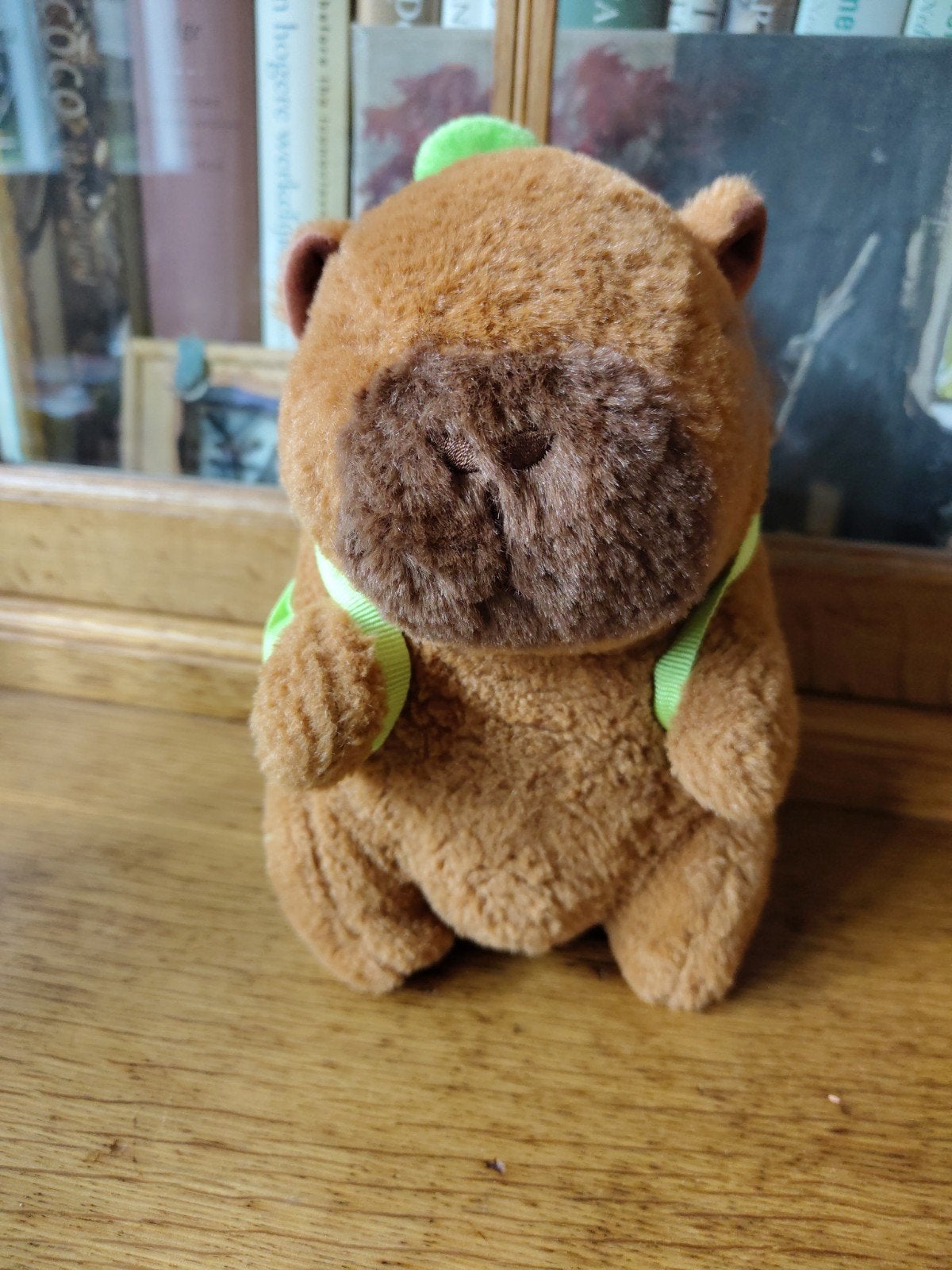 Schattige capibara knuffel met schildpad rugzak, Ophalen of Verzenden