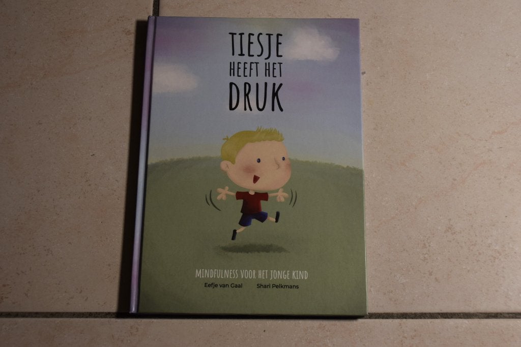 Tiesje heeft het druk / Eefje van Gaal, Ophalen of Verzenden, Zo goed als nieuw, Fictie algemeen, Voorleesboek