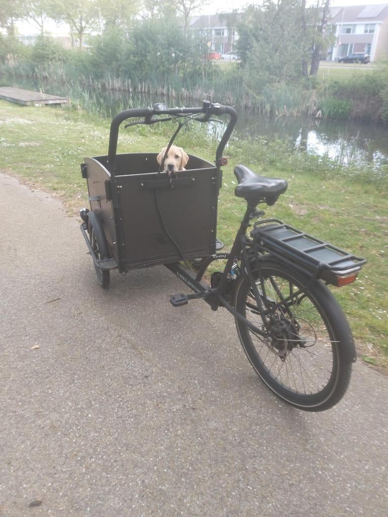 electrische bakfiets aangepast voor honden, Gebruikt, Goederen, Huif, Schijfrem