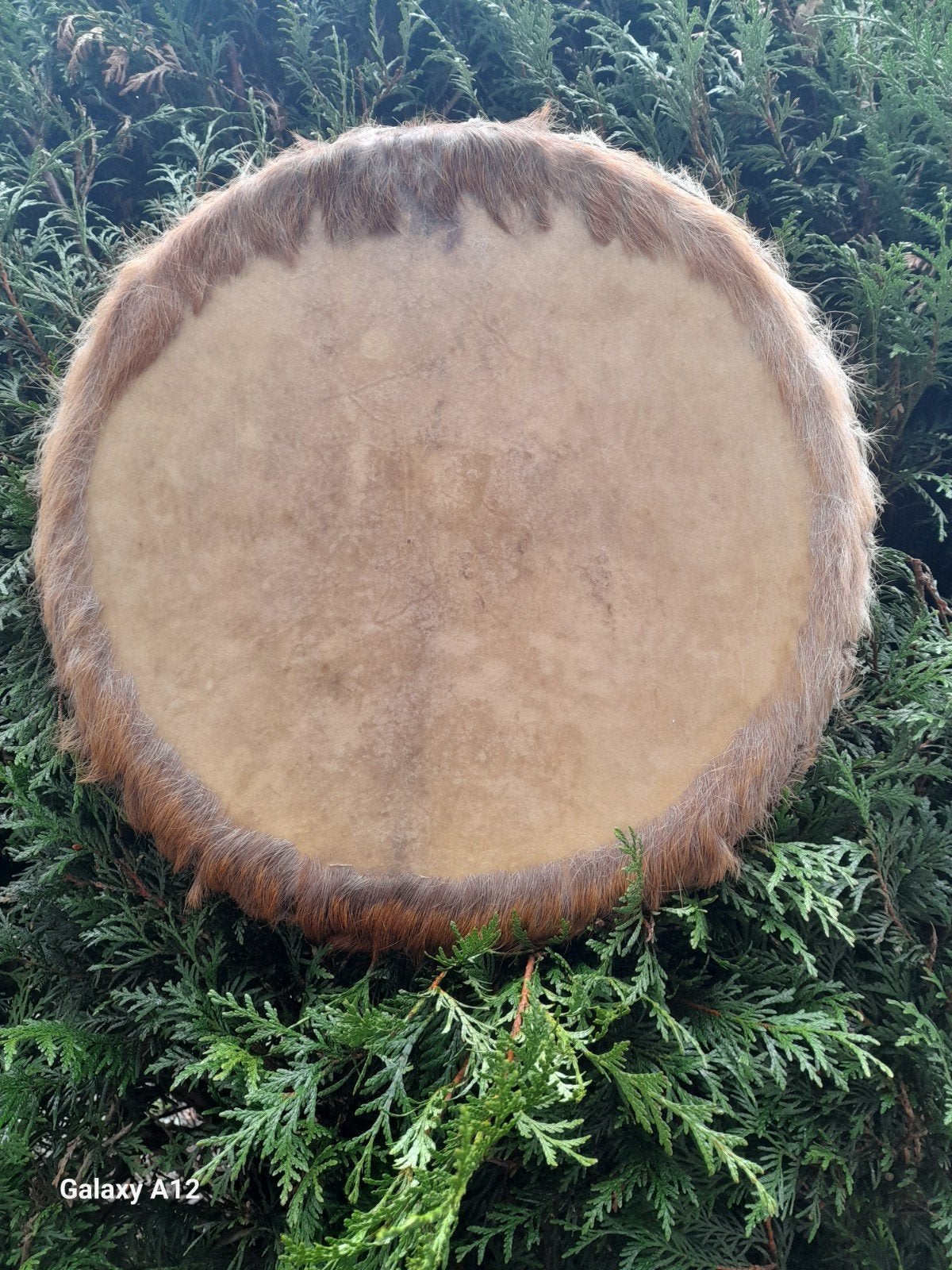 Mooie sjamanendrum van Ree, Muziek en Instrumenten, Ophalen, Nieuw, Trommel