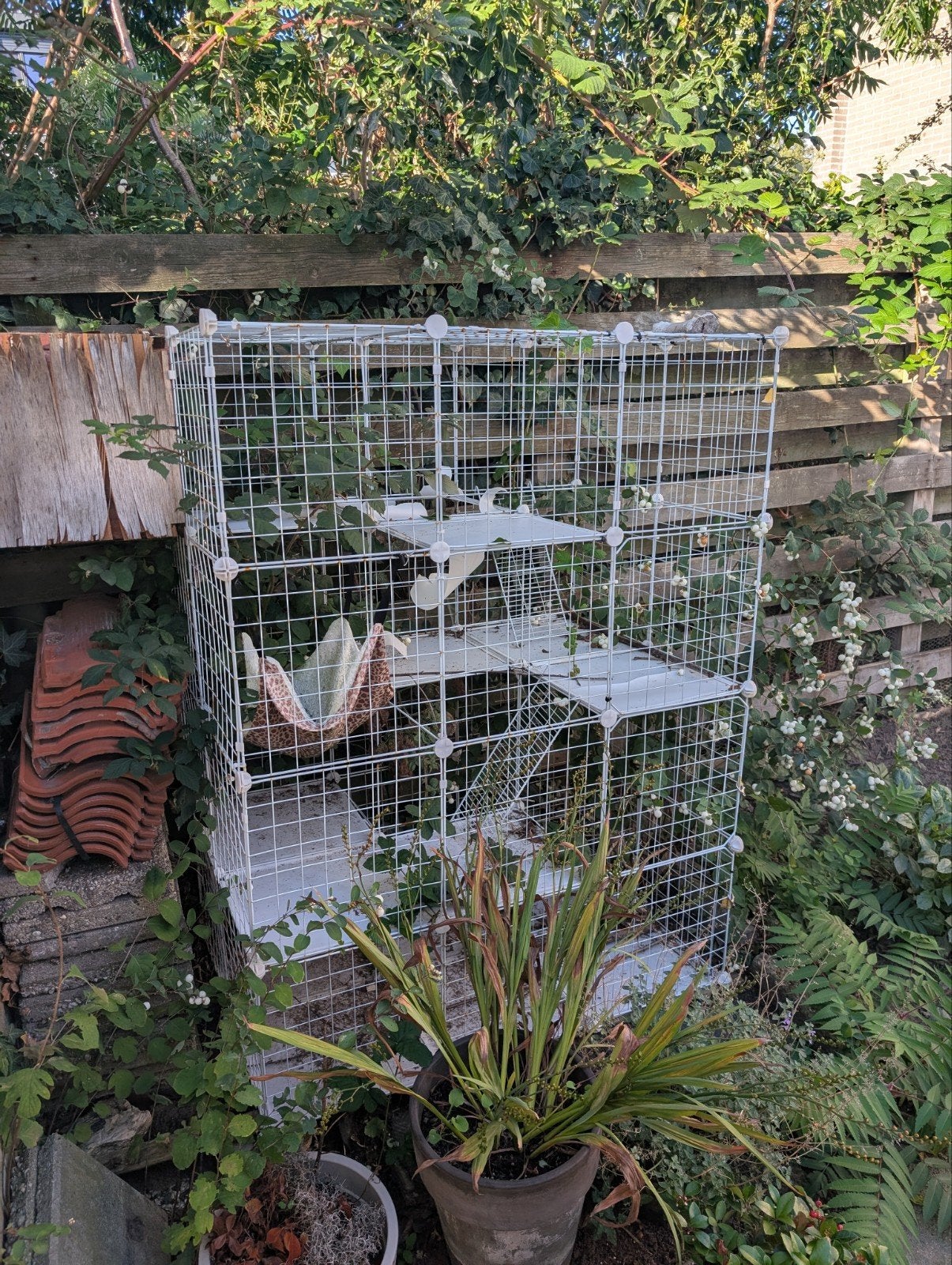 Kattenbench - Kattenren- Kattenkooi - Bench Kat - Katten Ben, Ophalen