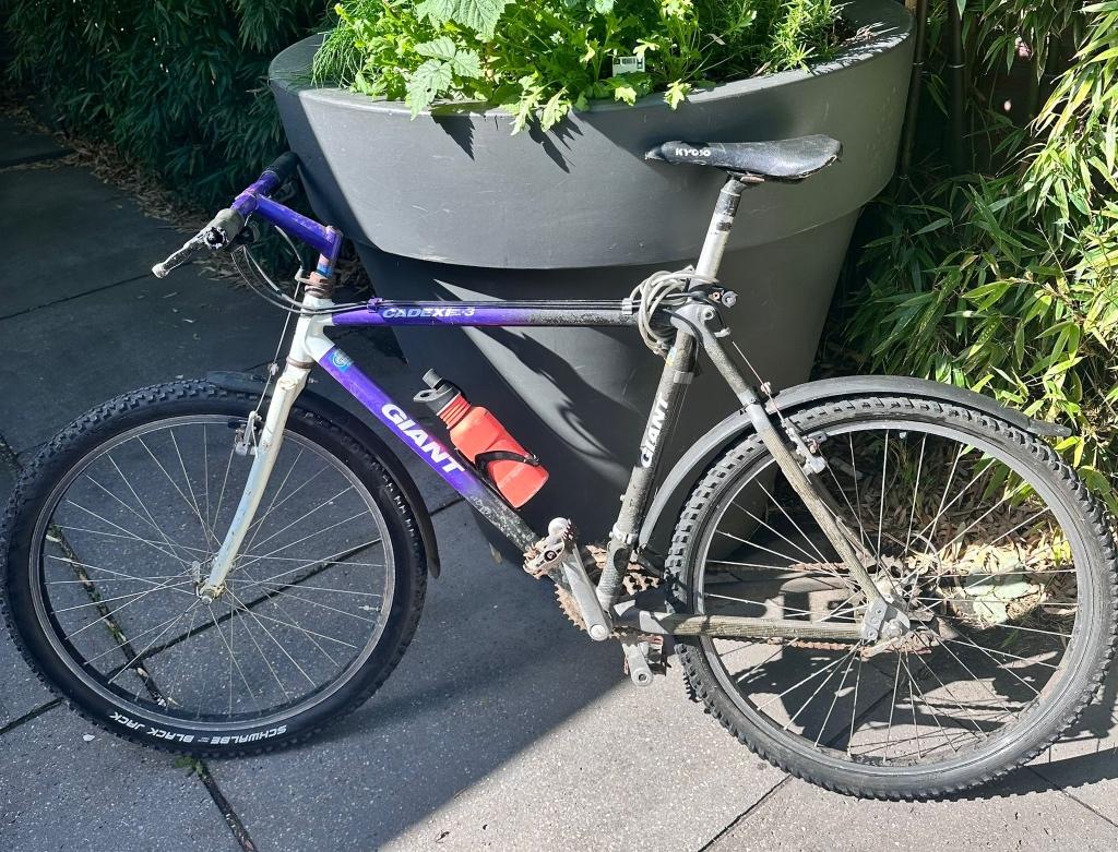 Giant mountainbike (lekke band), Ophalen of Verzenden, Gebruikt, Giant