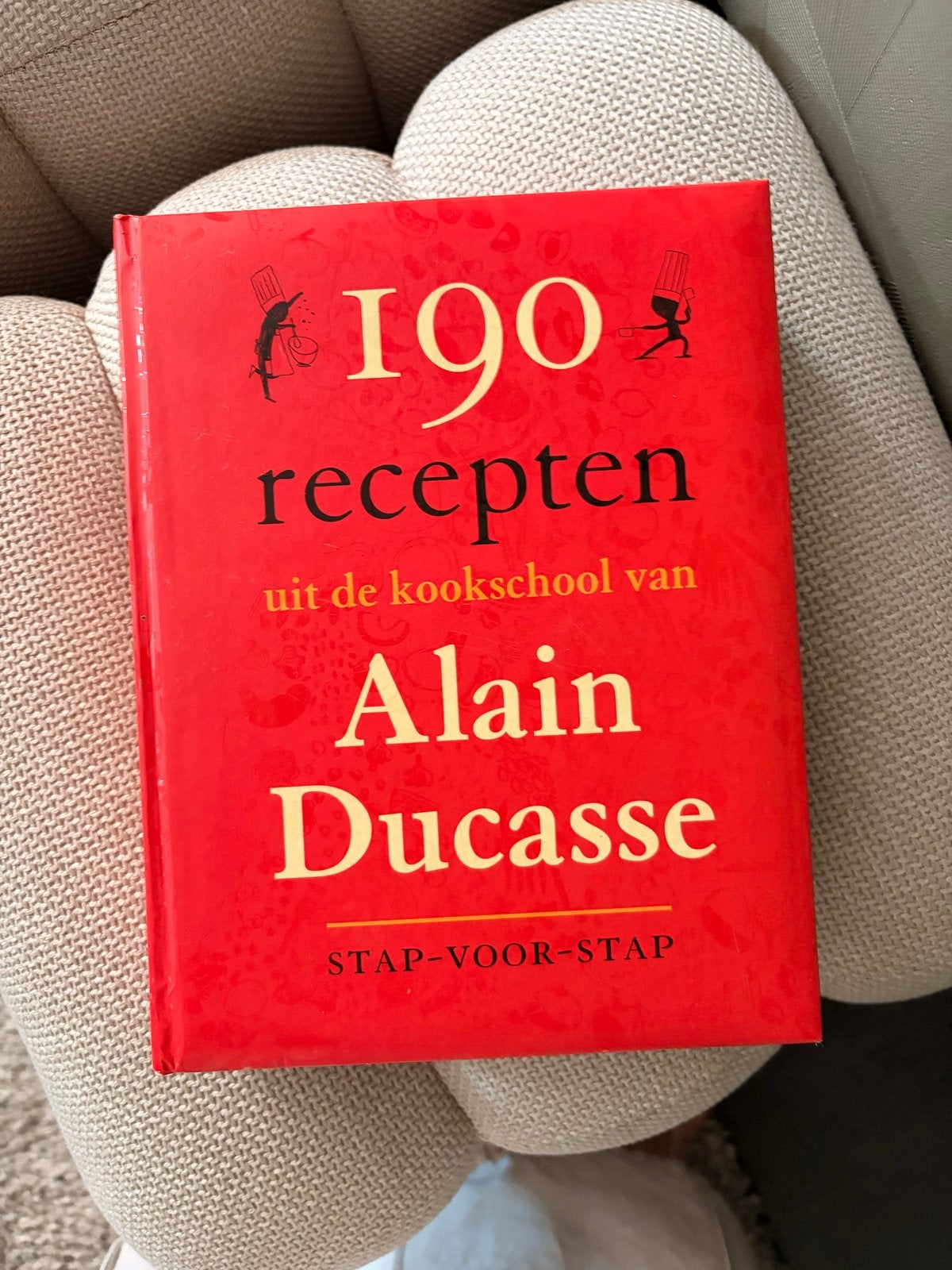 190 recepten uit de kookschool van Alain Ducasse, Boeken, Kookboeken, Ophalen of Verzenden, Zo goed als nieuw, Frankrijk, Voorgerechten en Soepen