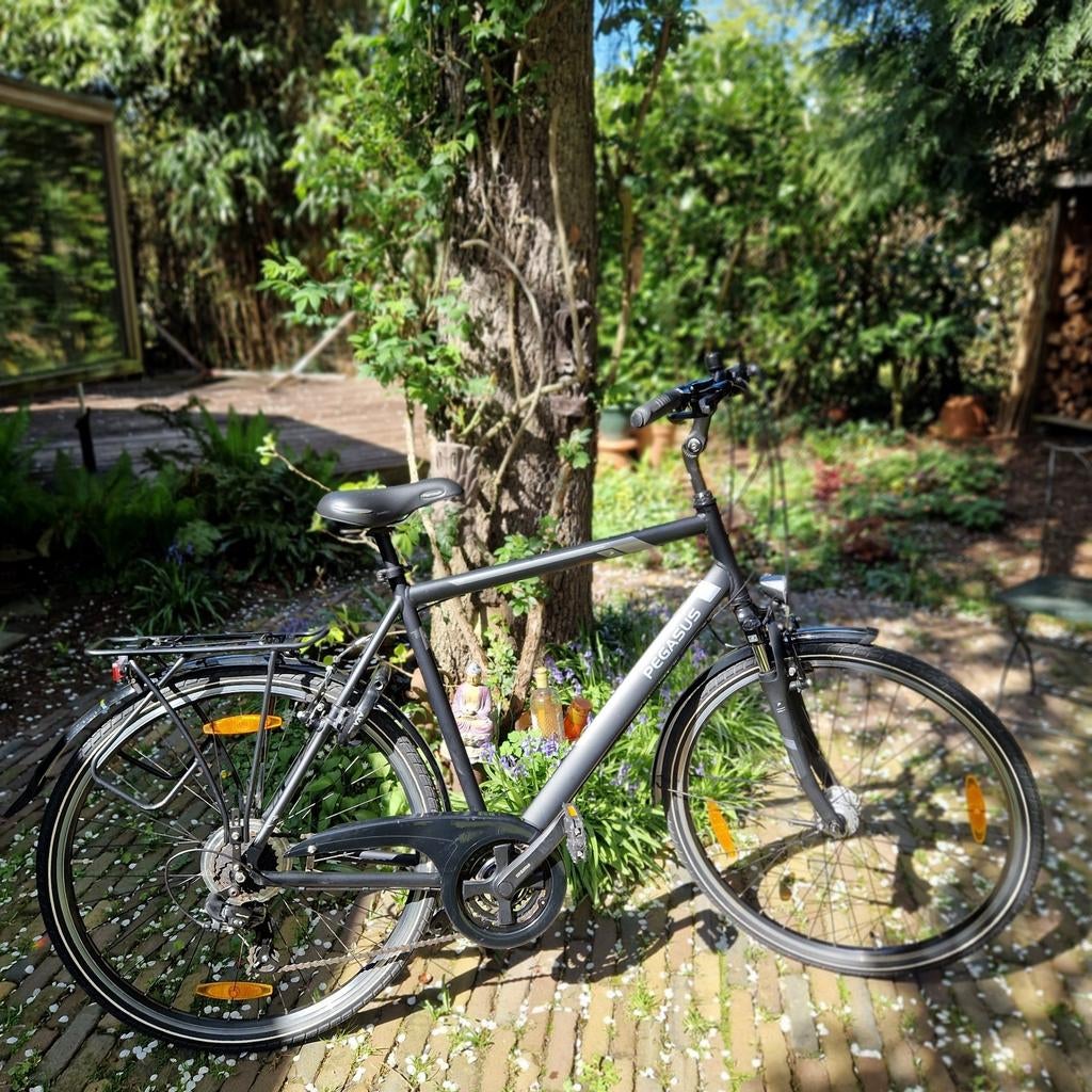 Pegasus Piazza Lite Trekkingfiets - Heren frame 61, 28 inch, Vering, Velgrem, Zo goed als nieuw
