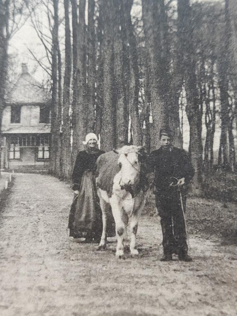 X2442 Putten 1914, Ophalen of Verzenden, Voor 1920, Gelderland