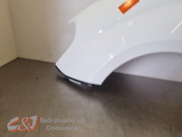 Scherm links-voor van een Opel Combo (5PU), Gebruikt, -, -, Opel
