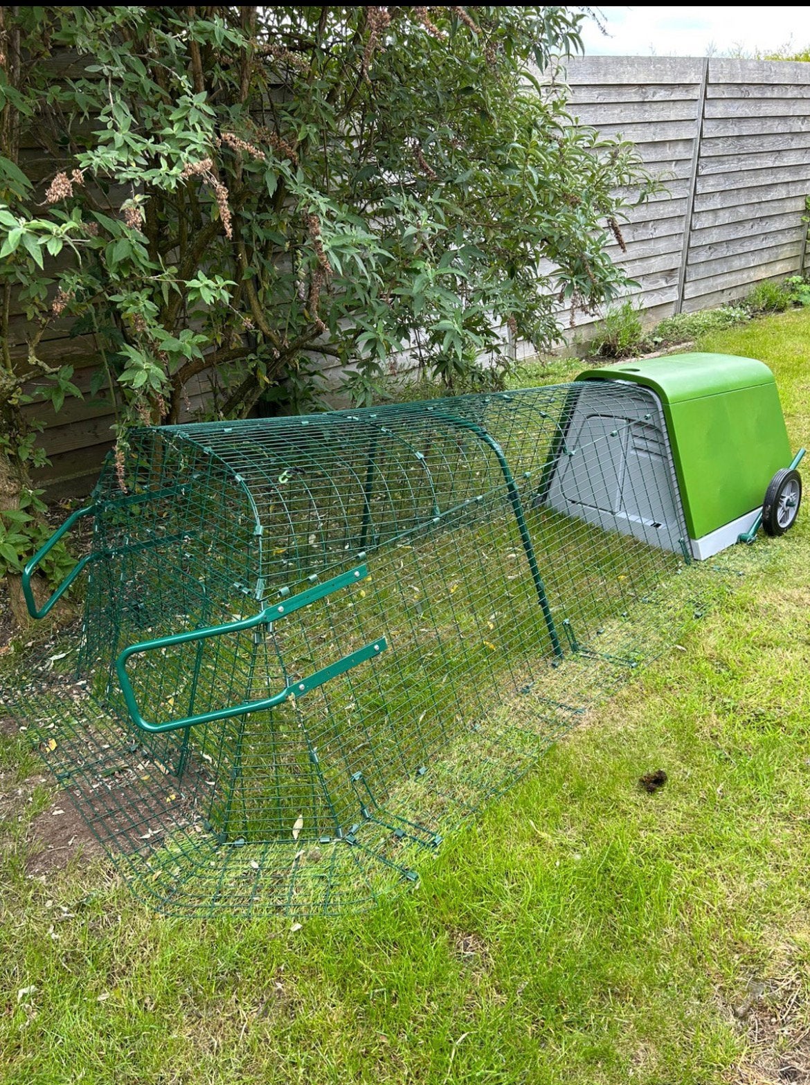 Omlet Eglu Go wielen en loophendels, Overige typen, Minder dan 75 cm, Zo goed als nieuw, Konijn