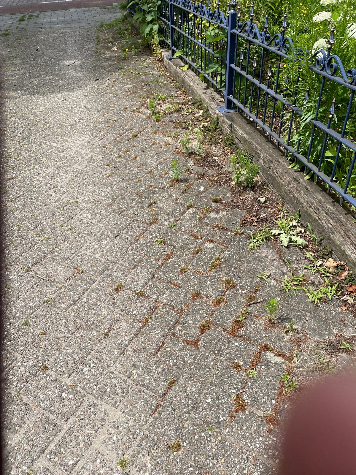 Gebruikte Bielzen - Ideaal voor tuin en landschap, Ophalen, Gebruikt, 25 tot 50 cm, 25 cm of meer
