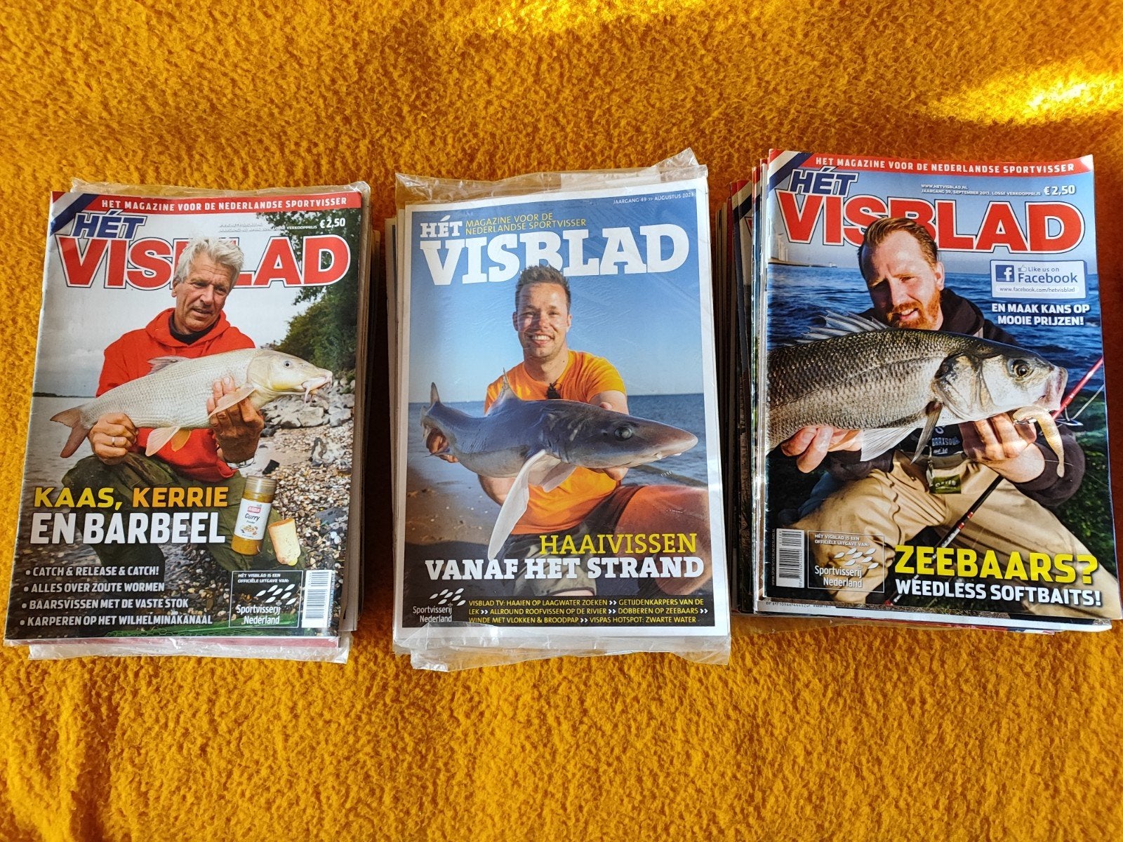 95 stuks ' Het Visblad ', Boeken, Ophalen of Verzenden, Zo goed als nieuw, Sport en Vrije tijd