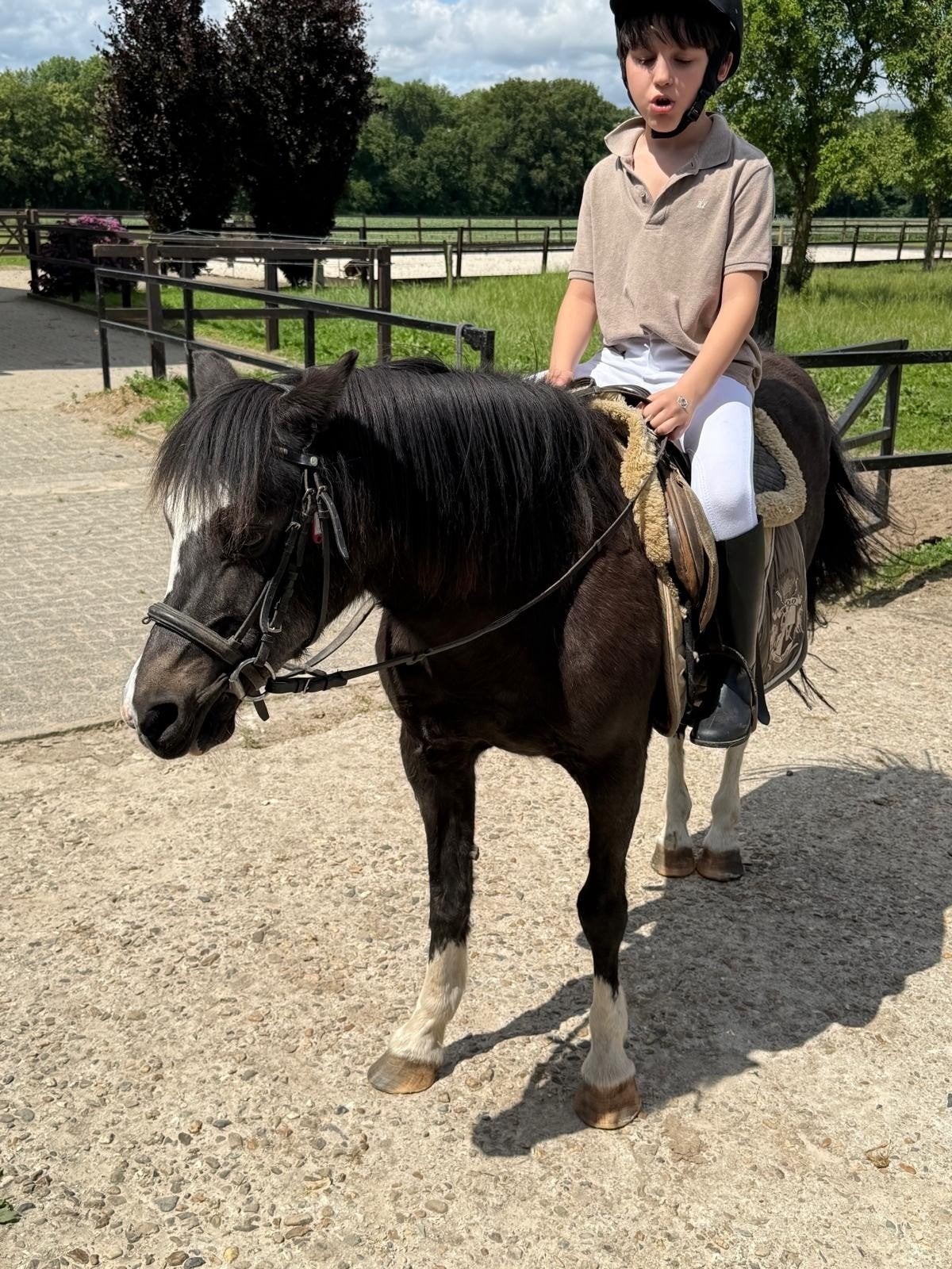 supet lieve recreatie pony te koop, Niet van toepassing, B pony (1.17m tot 1.27m), 11 jaar of ouder, Recreatiepony
