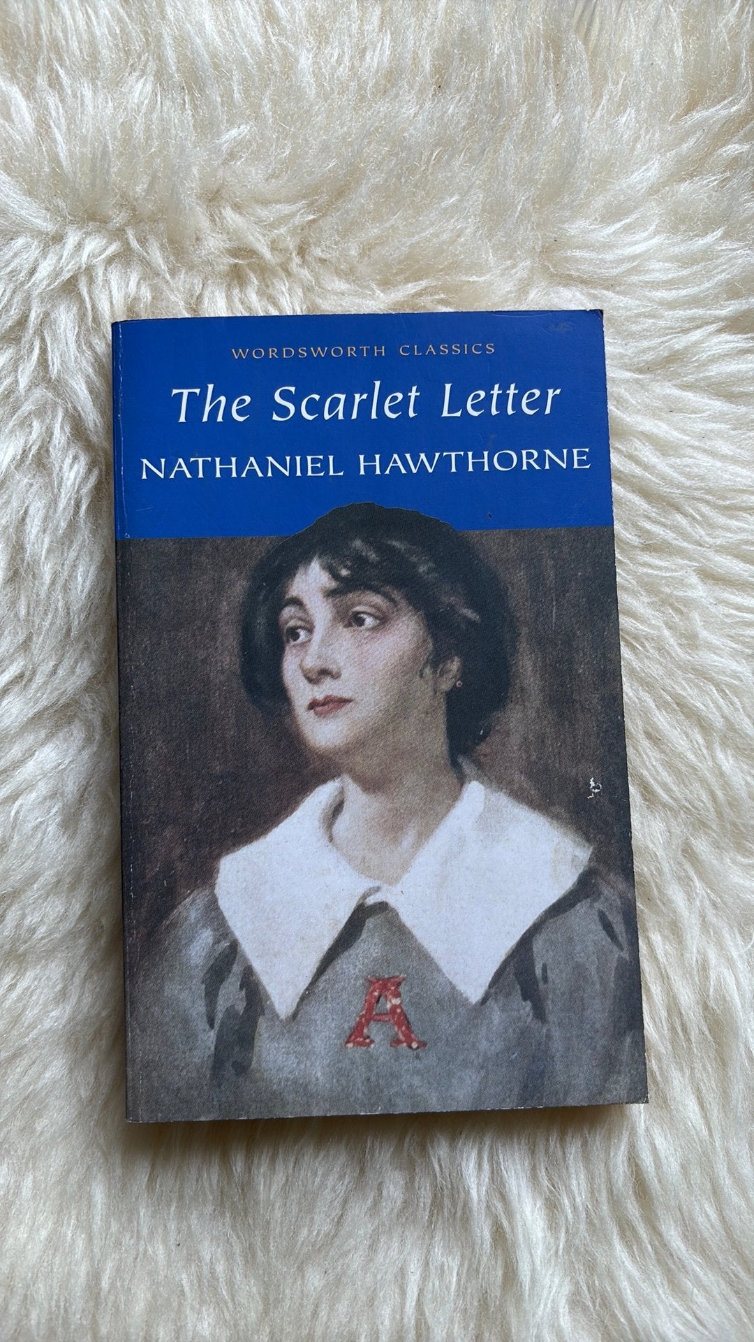 Unread | Nathaniel Hawthorne - The Scarlet Letter, Boeken, Ophalen of Verzenden, Zo goed als nieuw, NATHANIEL HAWTHORNE