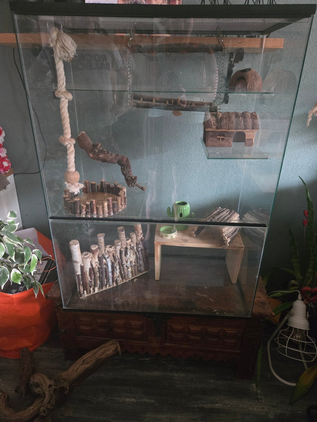 Gerbilarium/ knaagdieren hok, Dieren en Toebehoren, Knaagdieren en Konijnen | Hokken en Kooien, Ophalen, Minder dan 75 cm, Zo goed als nieuw