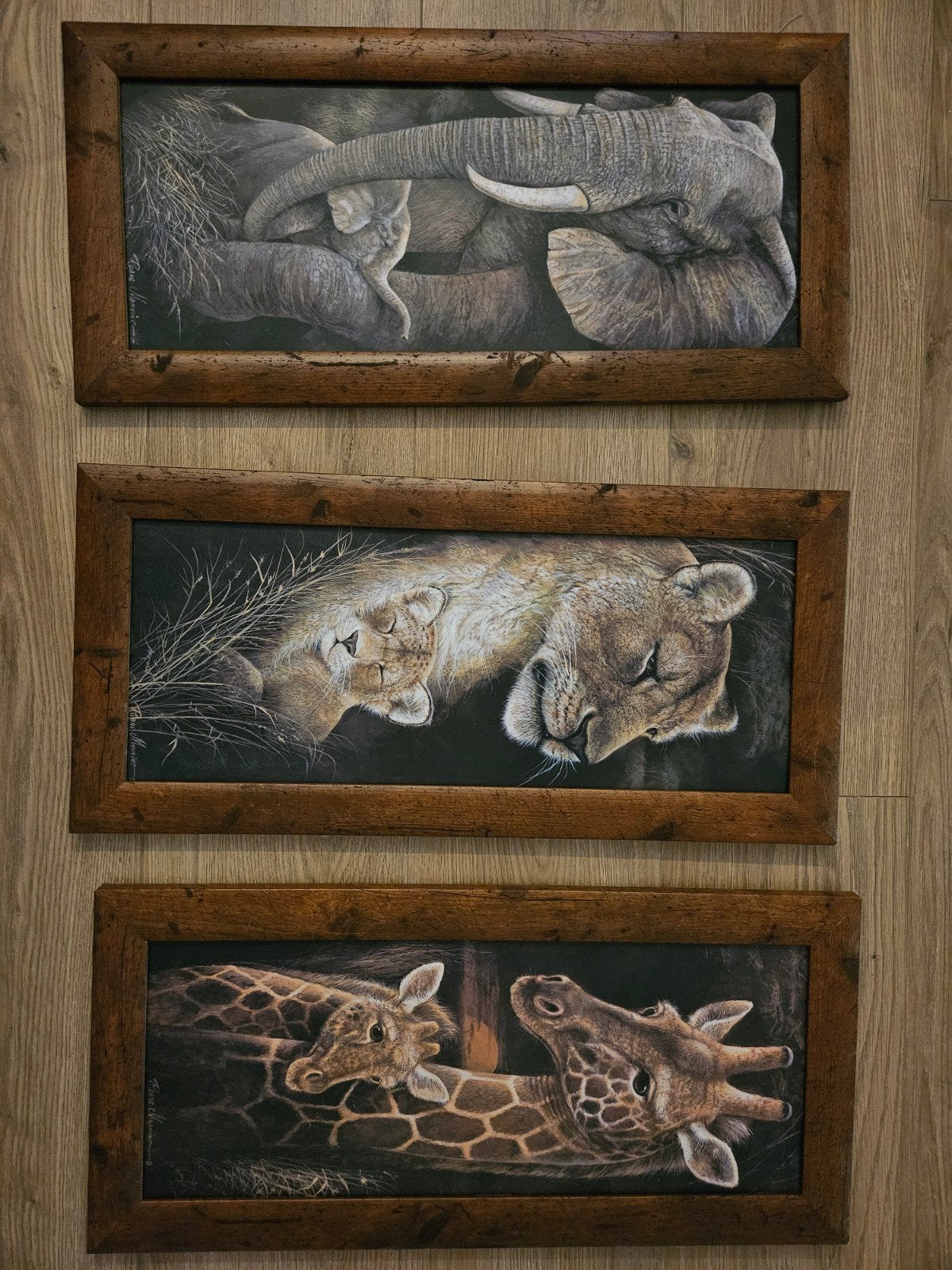 Set van 3 Schilderijen: Olifant, Leeuw, Gir, Ophalen