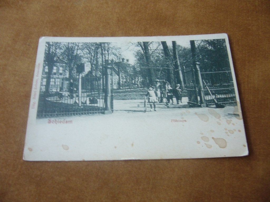 SCHIEDAM  =  PLANTAGE  BRIEFKAART, Ophalen of Verzenden, Voor 1920, Ongelopen, Zuid-Holland