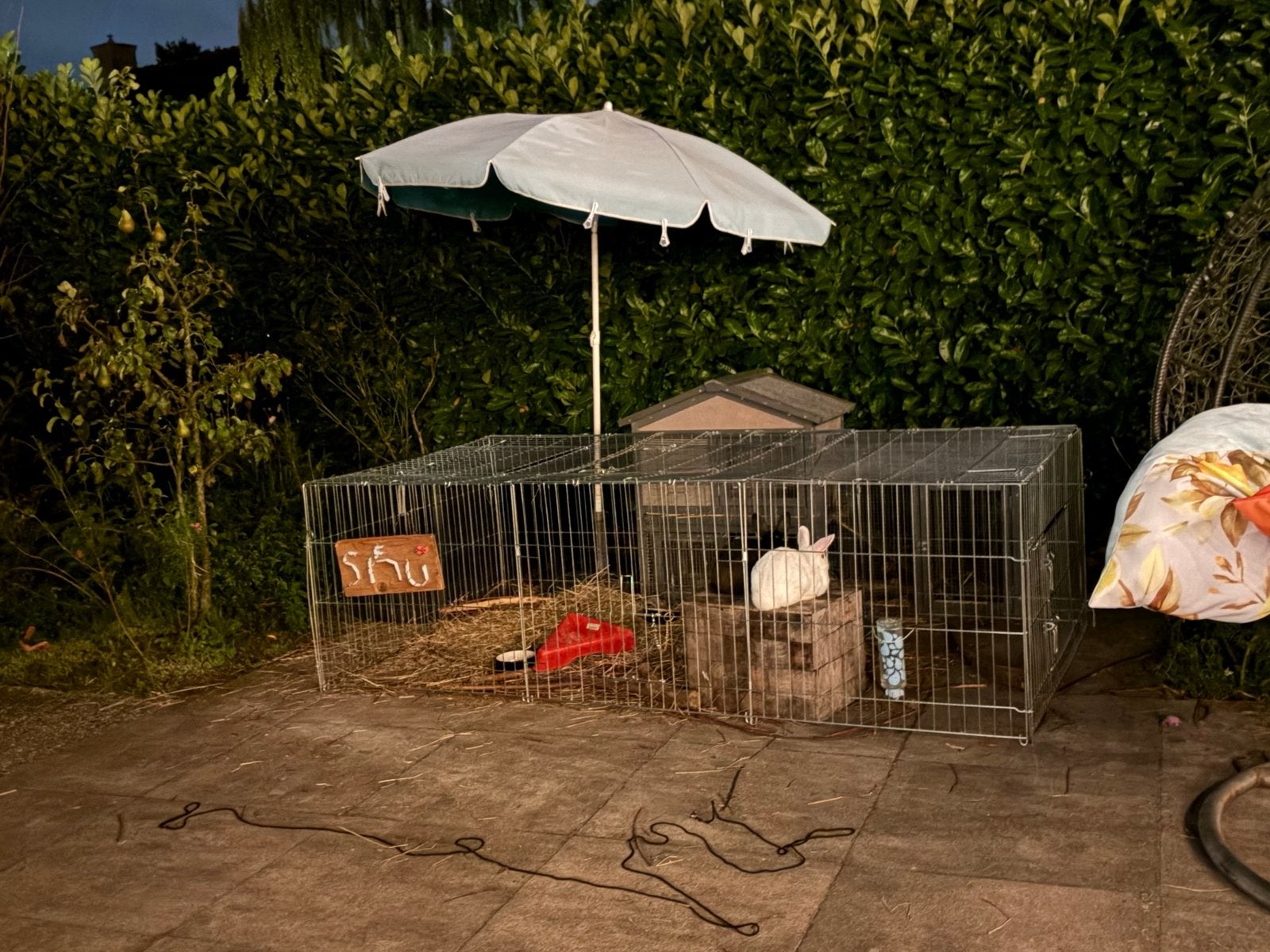 Trixie Natura Ren Met Dak - Dierenverblijf - 216x65x116 cm, Kooi, 110 cm of meer, Zo goed als nieuw, 90 cm of meer