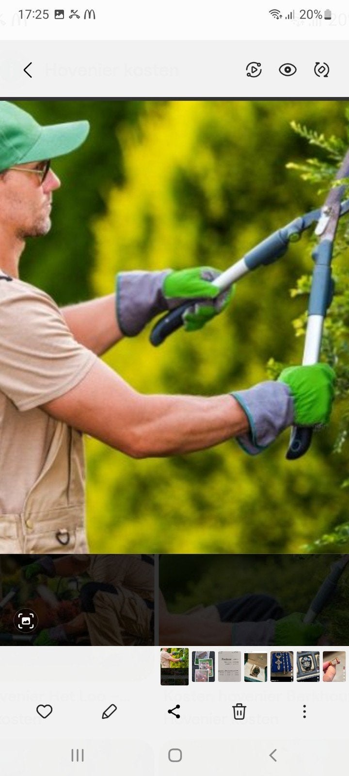 Zoek u een goeie tuinman, Tuin en Terras, Ophalen of Verzenden, Elektrisch