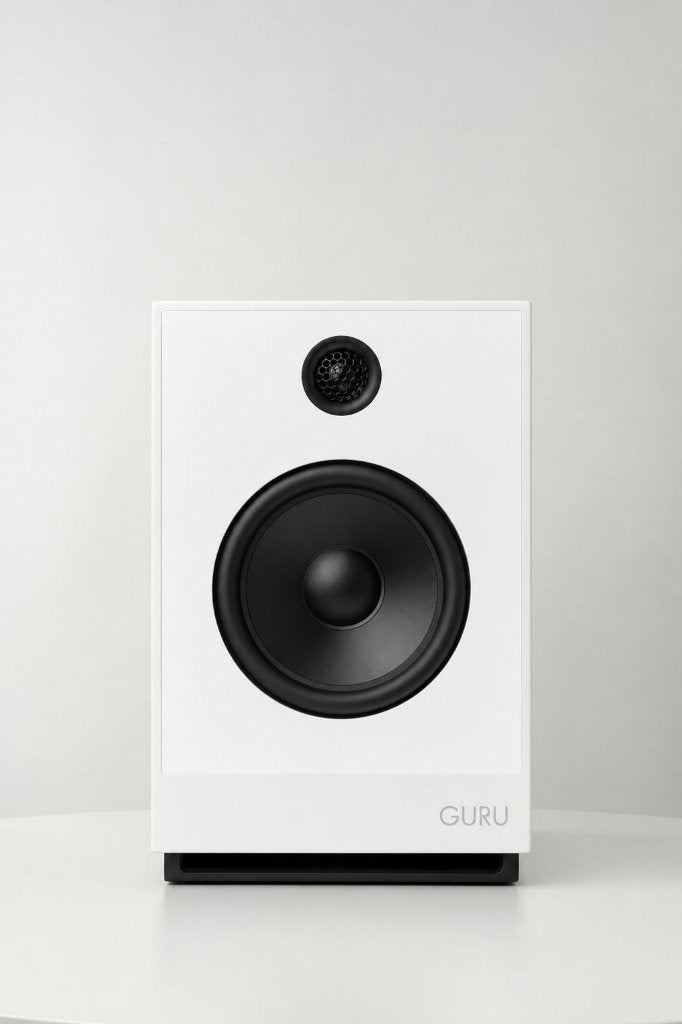 Guru 12 TRADE.INRUIL, Overige merken, Ophalen of Verzenden, Zo goed als nieuw, 60 tot 120 watt