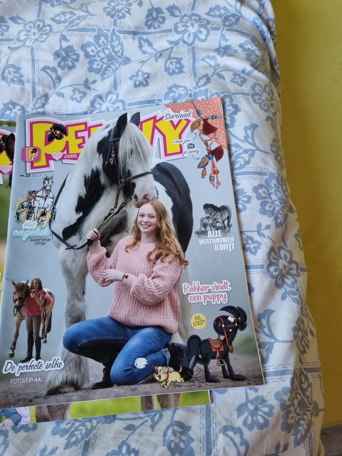 Pony tijdschriften - diverse edities, Ophalen of Verzenden, Gelezen, Overige typen