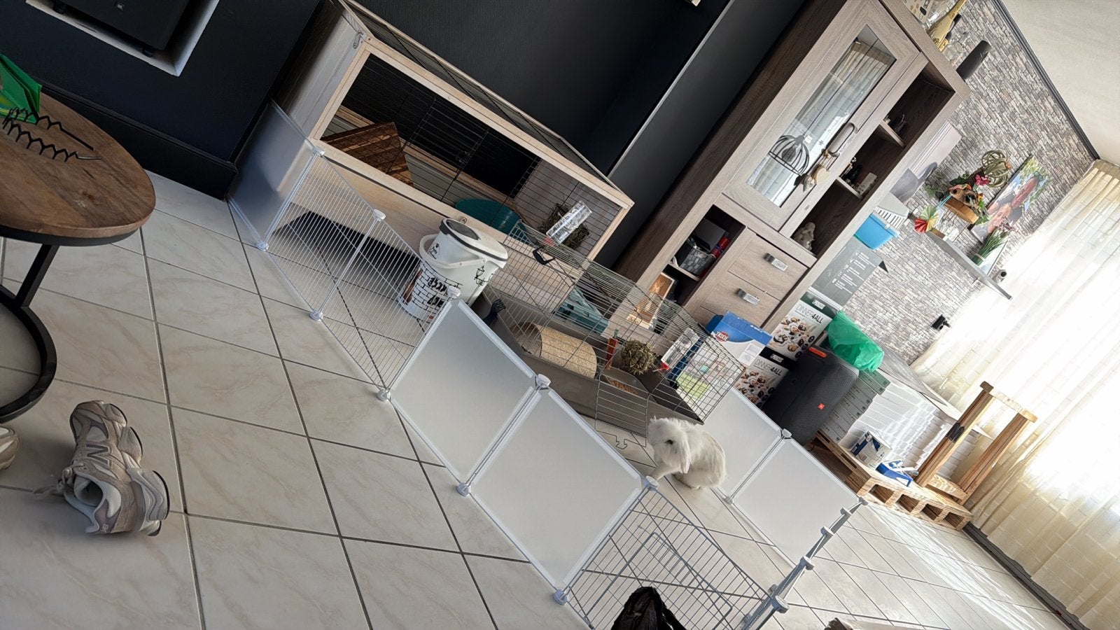 Konijnen / cavia hok, Dieren en Toebehoren, Knaagdieren en Konijnen | Hokken en Kooien, Zo goed als nieuw, Hok, Cavia, Ophalen
