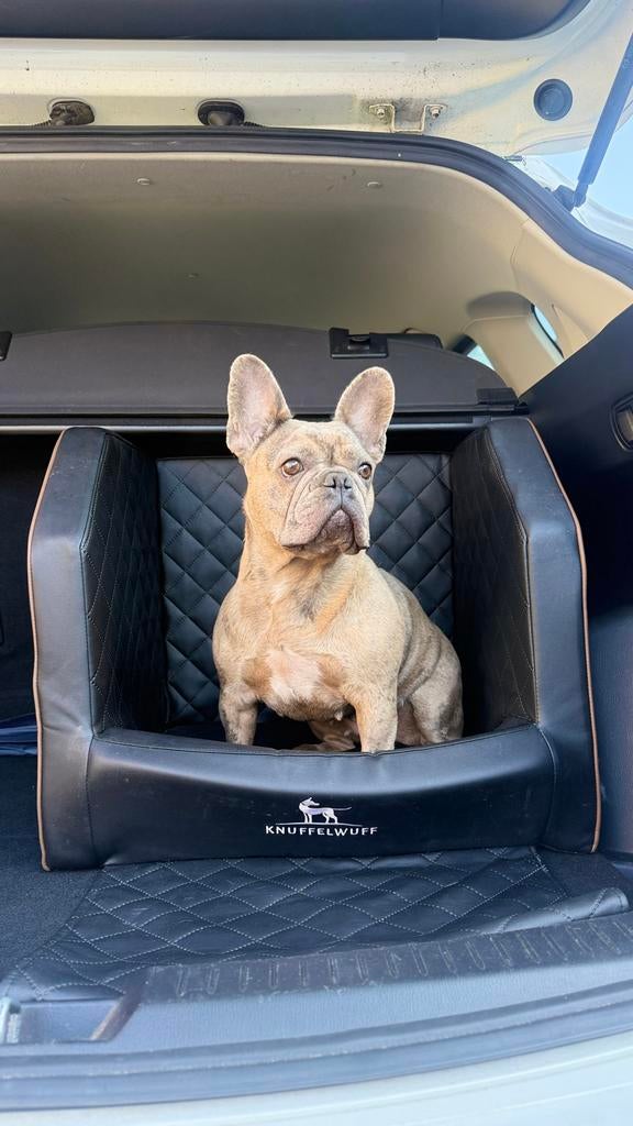 Luxe & Veilige Honden Autostoel – Knuffelwuff Cargo, Dieren en Toebehoren, Ophalen, Zo goed als nieuw