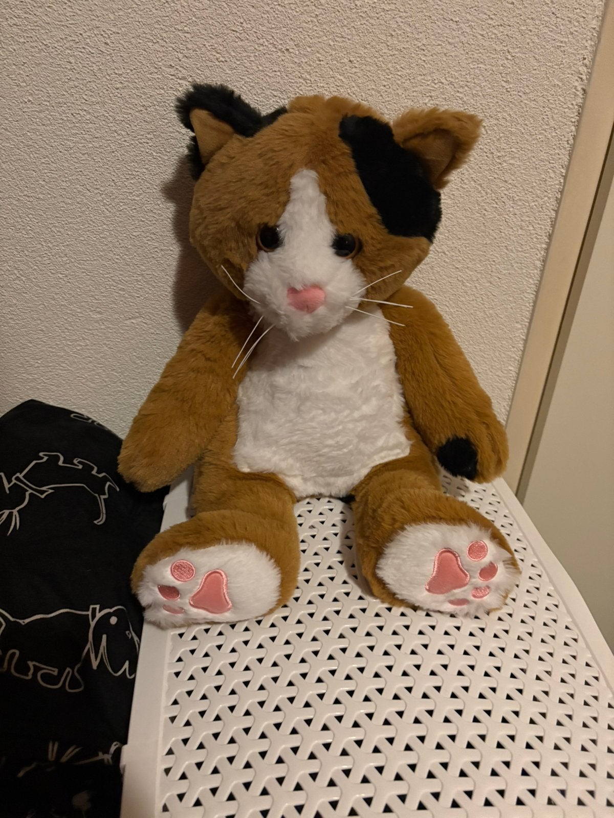 Troostmaatje kat, Ophalen of Verzenden, Zo goed als nieuw, Overige typen