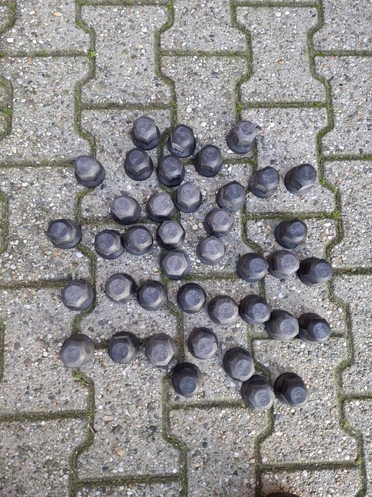 DAF Wielmoerdoppen - Set van 20 stuks, Ophalen of Verzenden, Gebruikt, Overige automerken