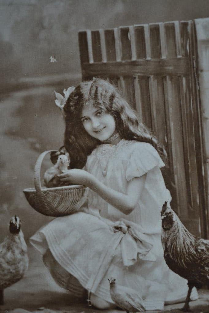 belgie 1911 meisje lang haar met kippen, Ophalen of Verzenden, Voor 1920, Gelopen, Sterren en Beroemdheden