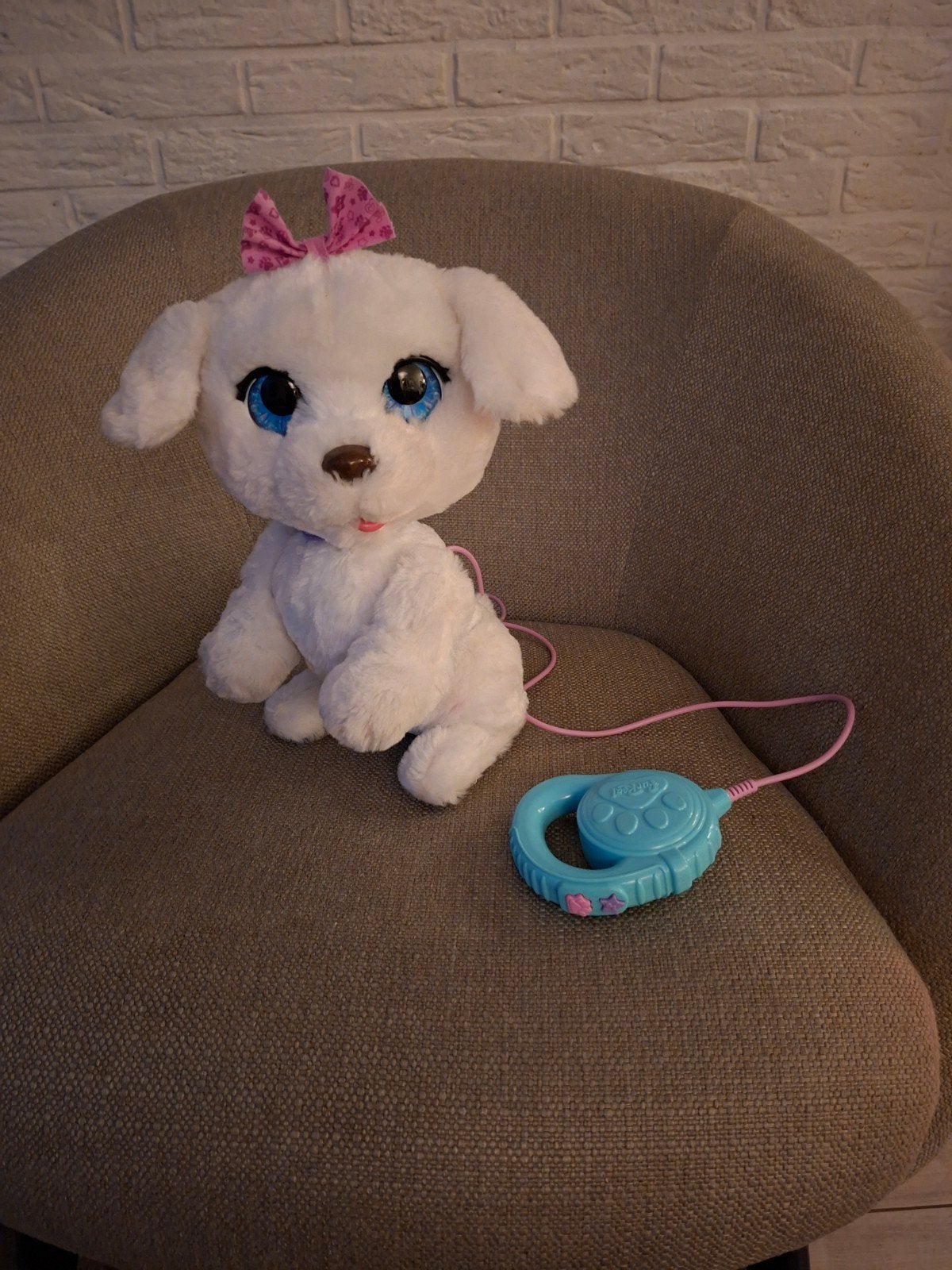 Speel hond., Ophalen, Hond