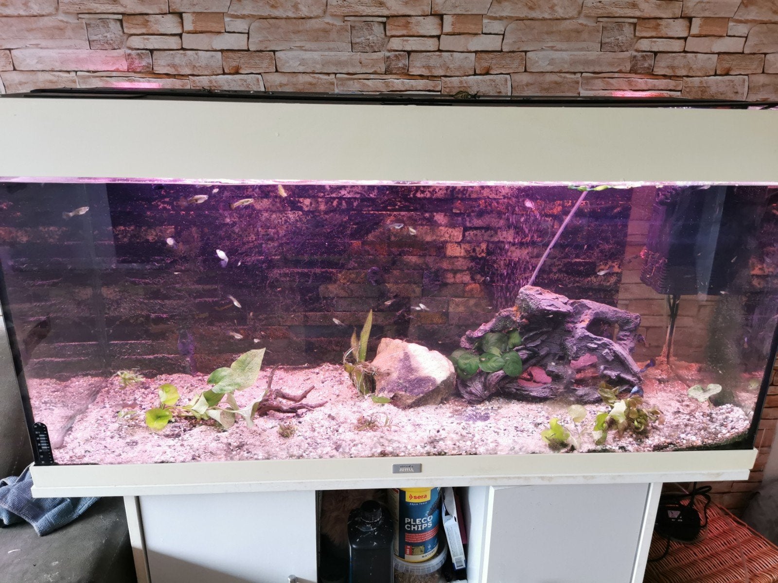 Gratis ophalen Juwel 180, Dieren en Toebehoren, Ophalen, Gebruikt, Leeg aquarium