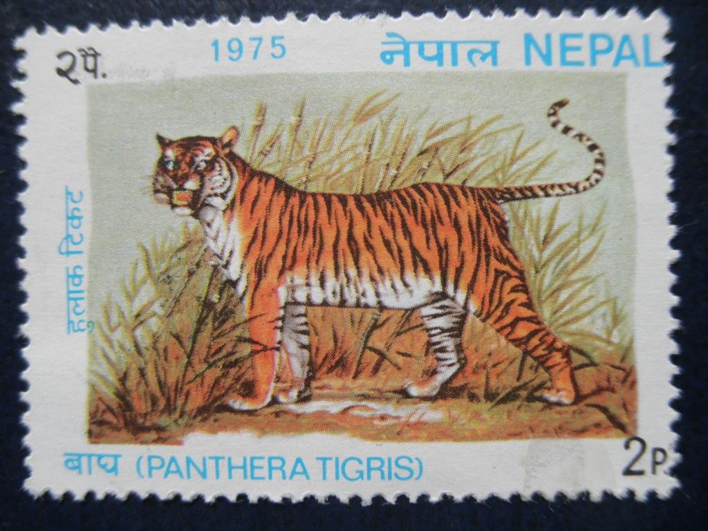 Postzegels Nepal 1975 Bengaalse tijger nr. 319 - cw. € 0,50., Ophalen of Verzenden, Gestempeld, Zuid-Azië