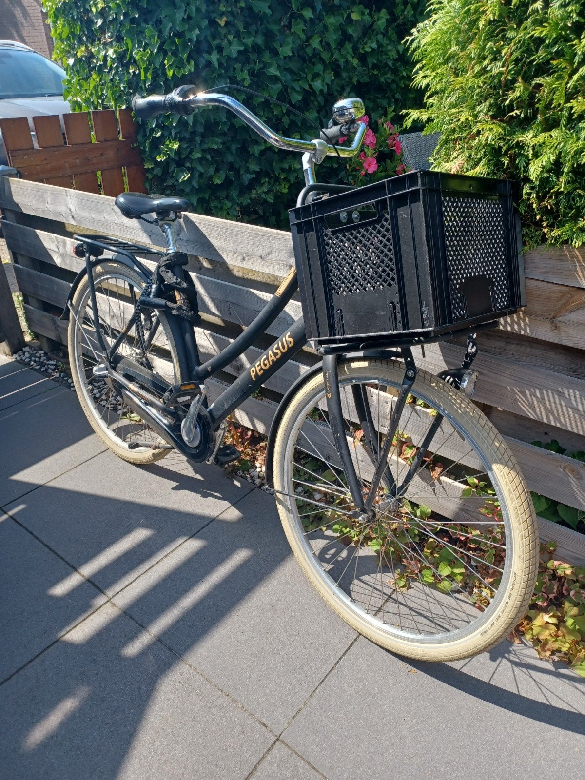 Mooie Pegasus City Cargo Bike 28 inch., Fietsen en Brommers, Fietsen | Dames | Omafietsen, Ophalen, Versnellingen