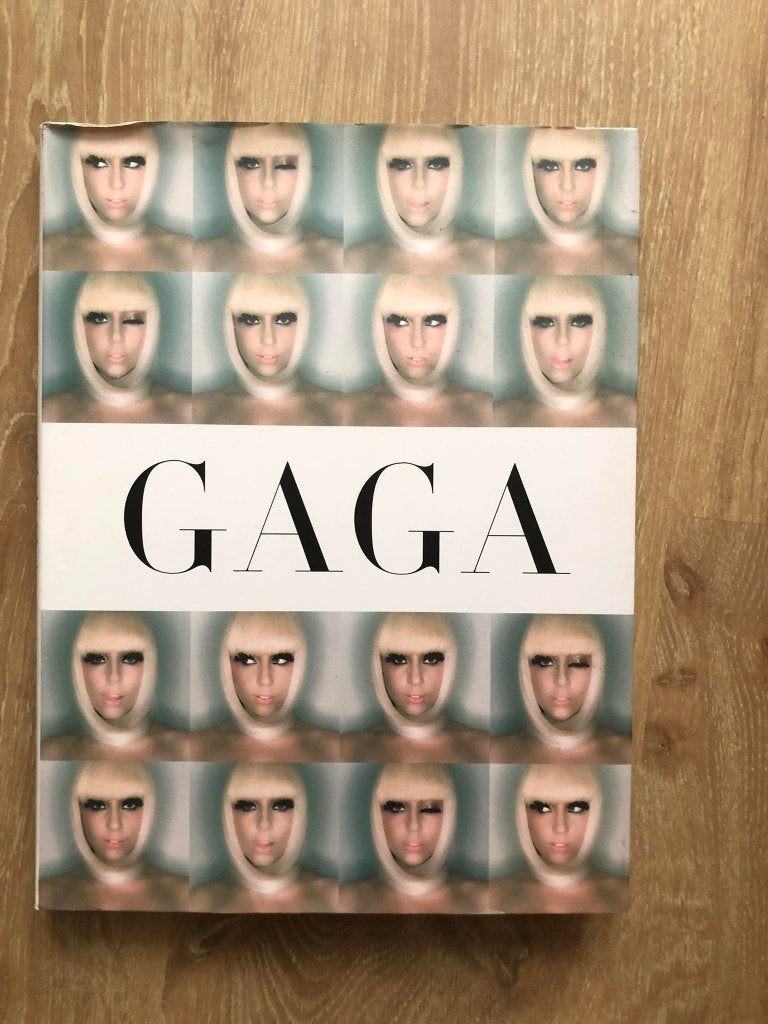 boek Lady Gaga -- GAGA, Boeken, Muziek, Artiest, Ophalen of Verzenden, Zo goed als nieuw, Sterling