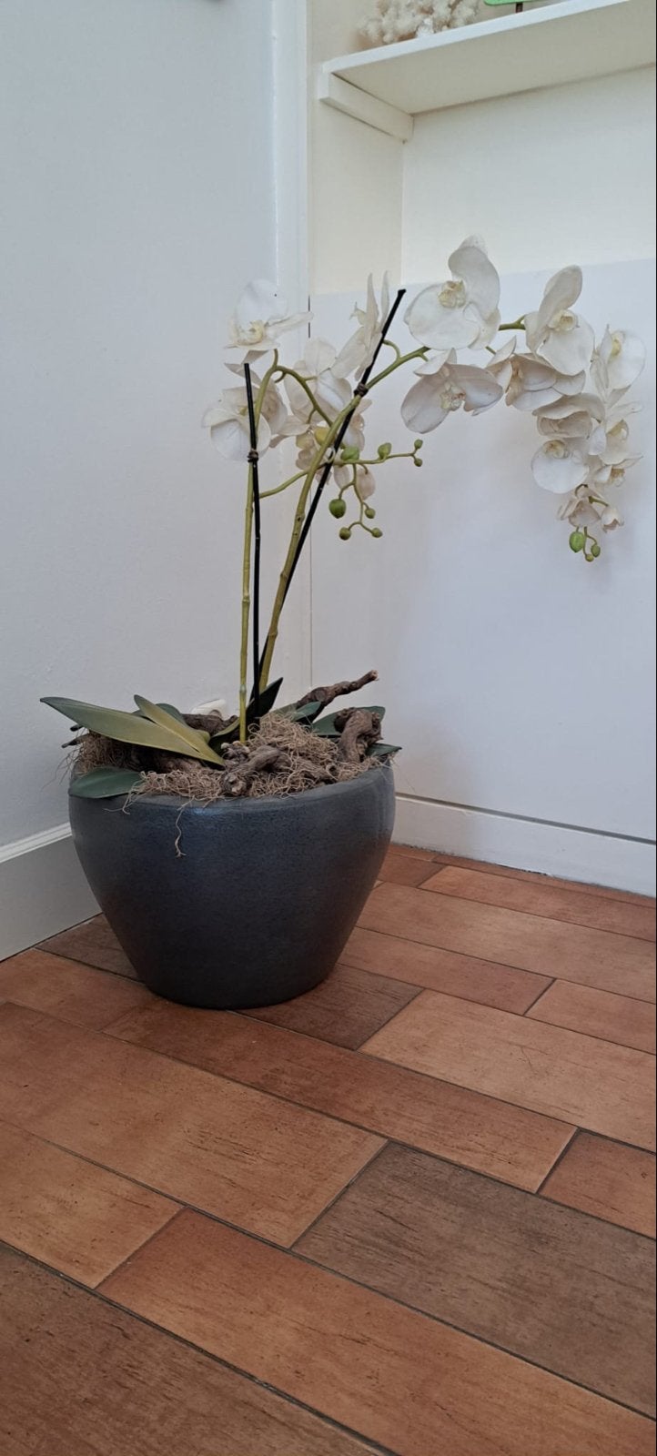 Kunst Orchidee in Pot, Ophalen, Binnen, Kunstplant, Kunststof