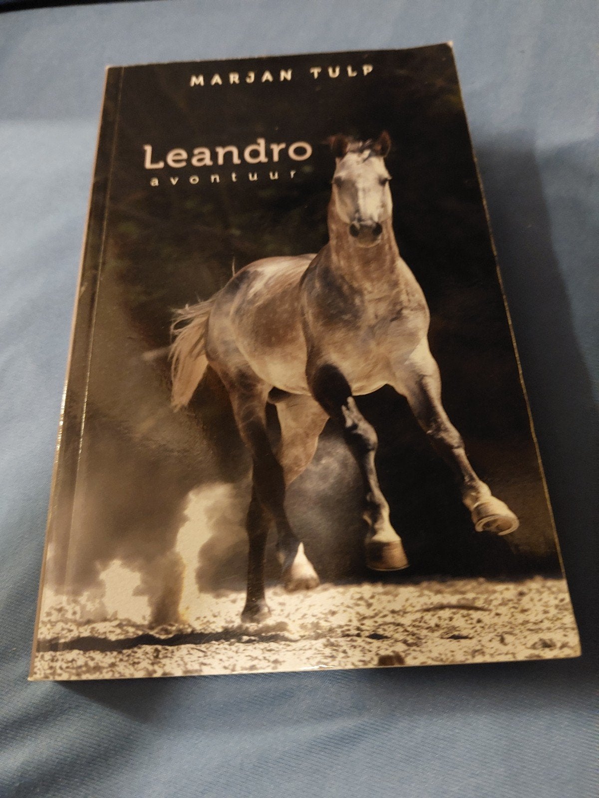 Leandro Avontuur - Marjan Tulp (Paardenboek), Ophalen of Verzenden