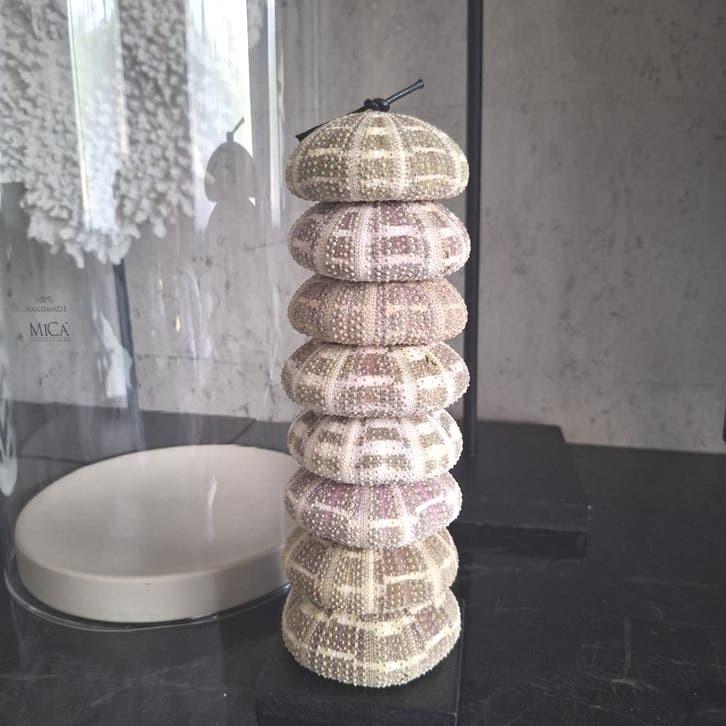 Mooie sober en chique zeeegel toren ornament  grote egels, Ophalen of Verzenden