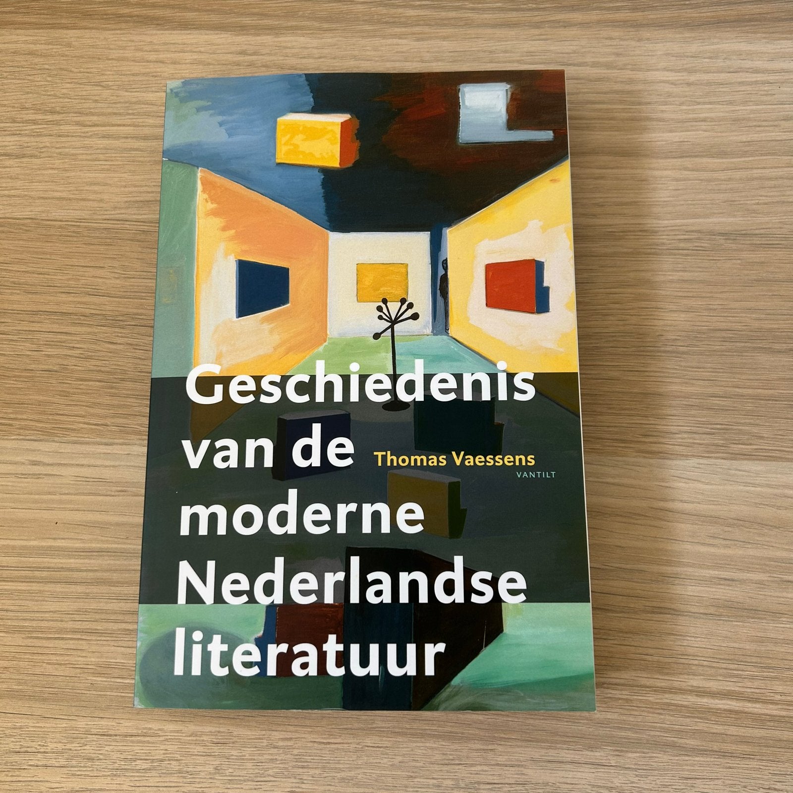Geschiedenis van de moderne Nederlandse literatuur, Boeken, Ophalen of Verzenden, Zo goed als nieuw