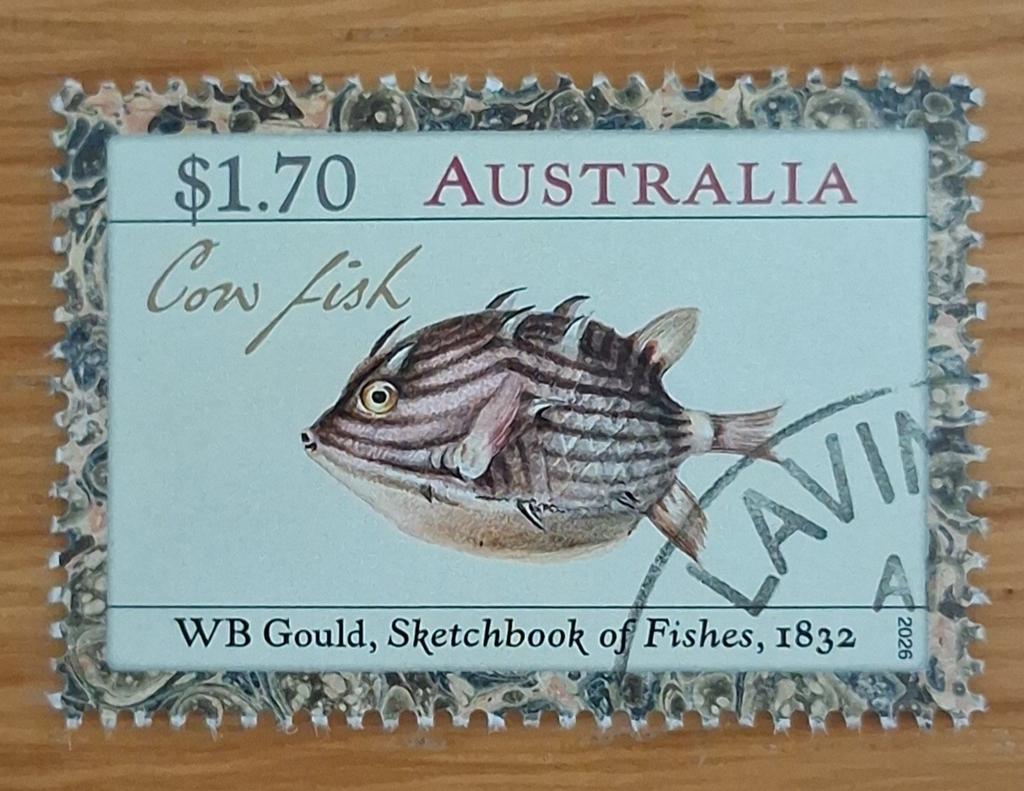 AUSTRALIË 2026: SKETCHBOOK OF FISHES, Ophalen of Verzenden