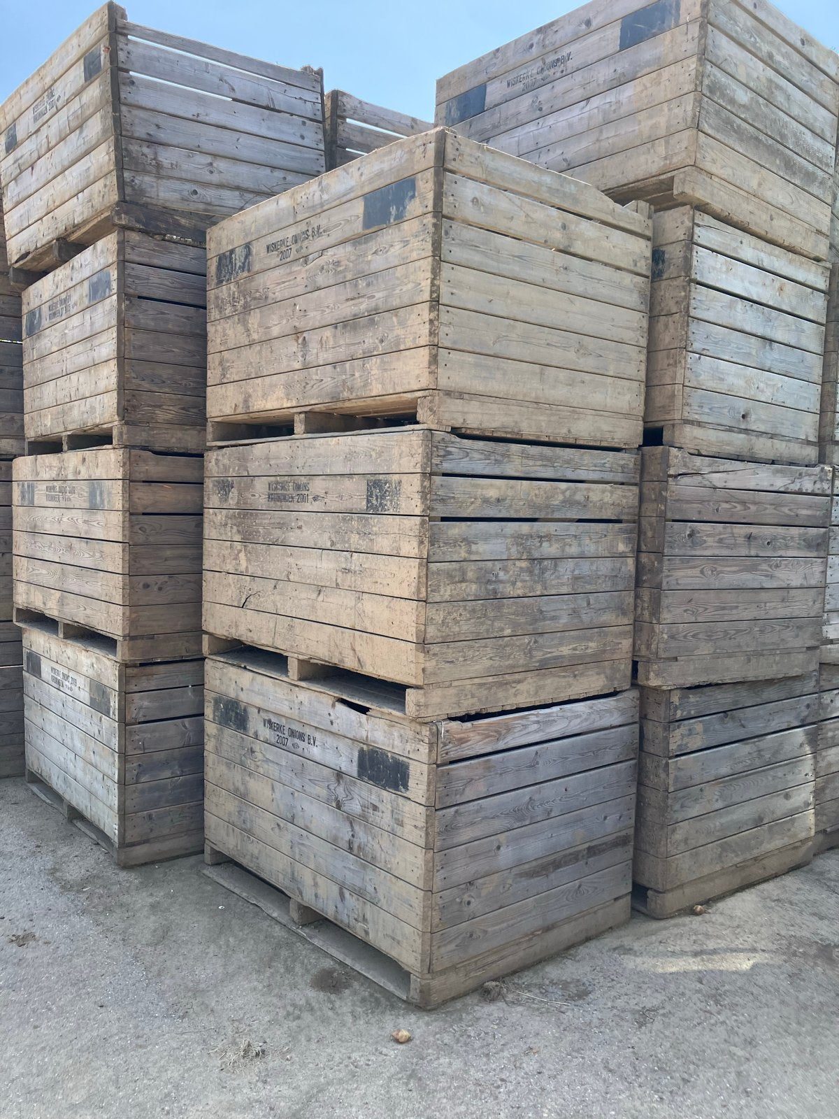 Grote houten kisten voor opslag of decoratie, Doe-het-zelf en Verbouw, Ophalen, Gebruikt, 100 cm of meer, 60 cm of meer