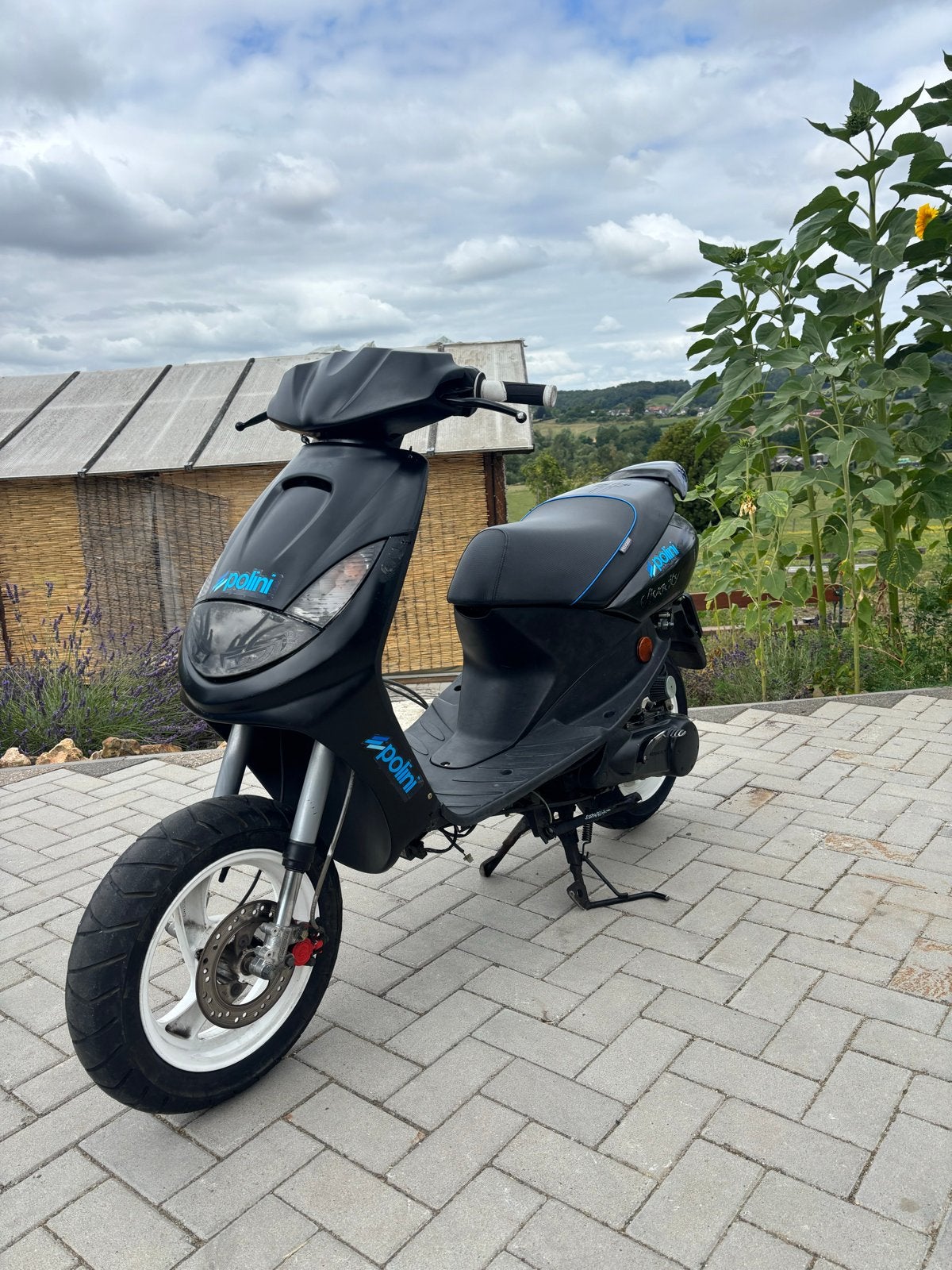 70cc Peugeot Vivacity 2007 brom (geen WOK), Ophalen, Gebruikt, Maximaal 45 km/u, Benzine