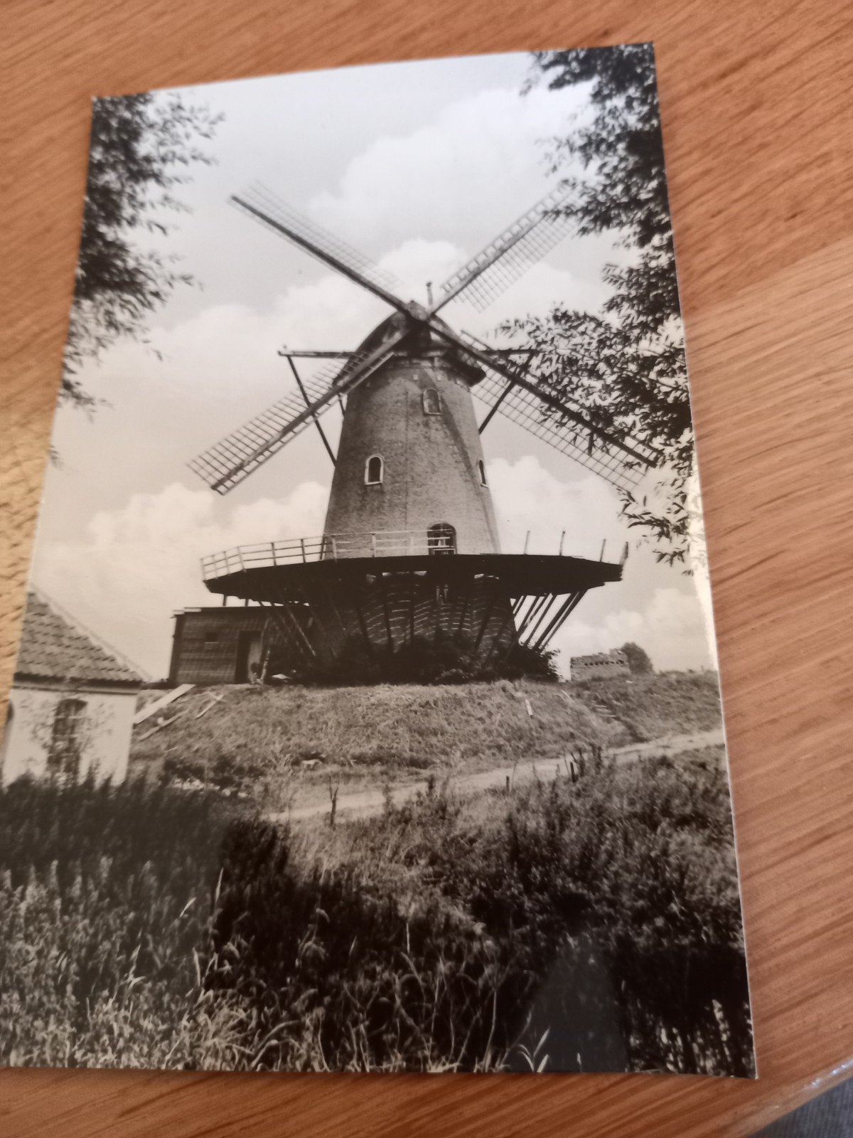 molen, Ophalen of Verzenden, Zuid-Holland
