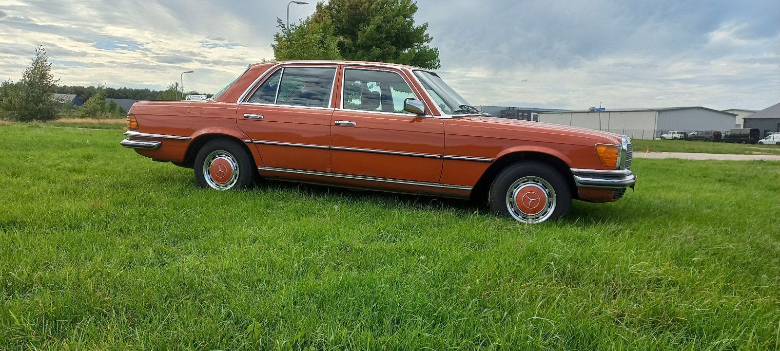 Mercedes-Benz Mercedes 1978, foto 5
