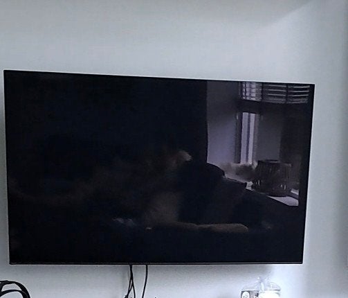 Sony KD-55A1 OLED TV met Vogel's muurbeugel