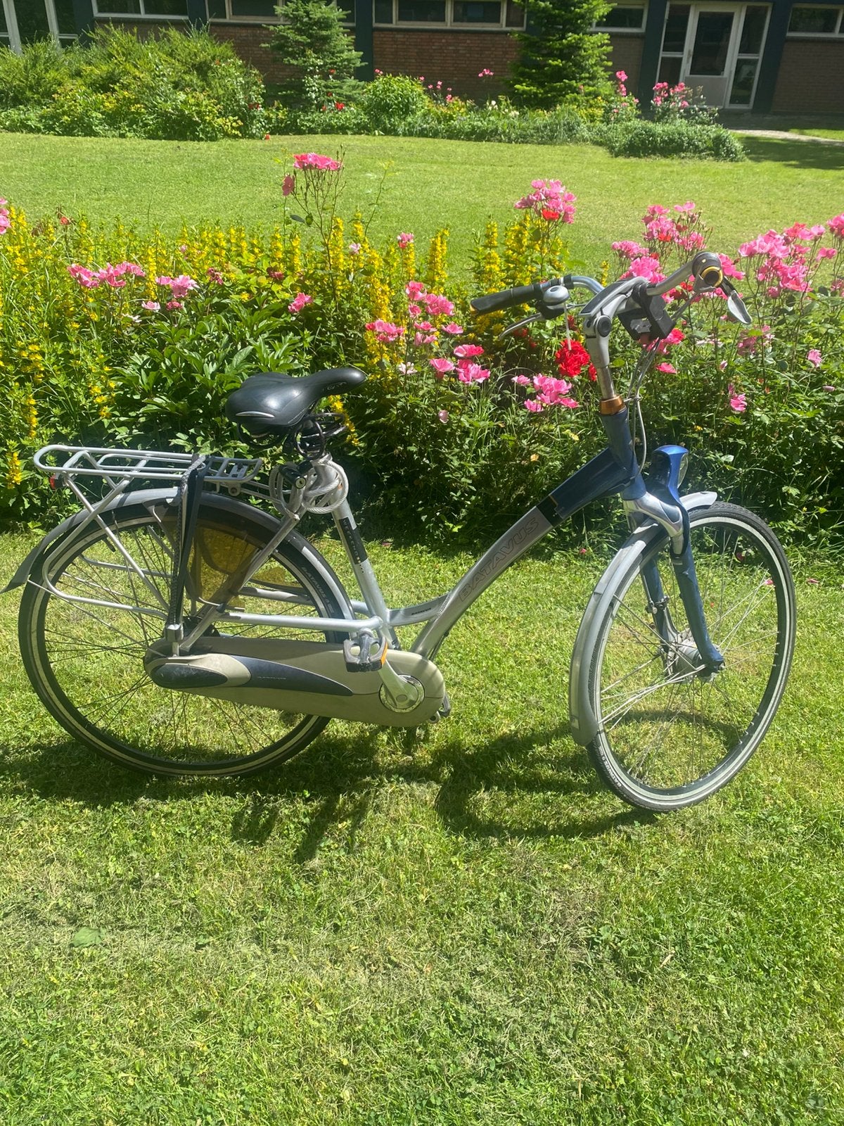 Batavus damesfiets met lage instap, Fietsen en Brommers, Fietsen | Dames | Damesfietsen, Velgrem, Batavus, Ophalen of Verzenden