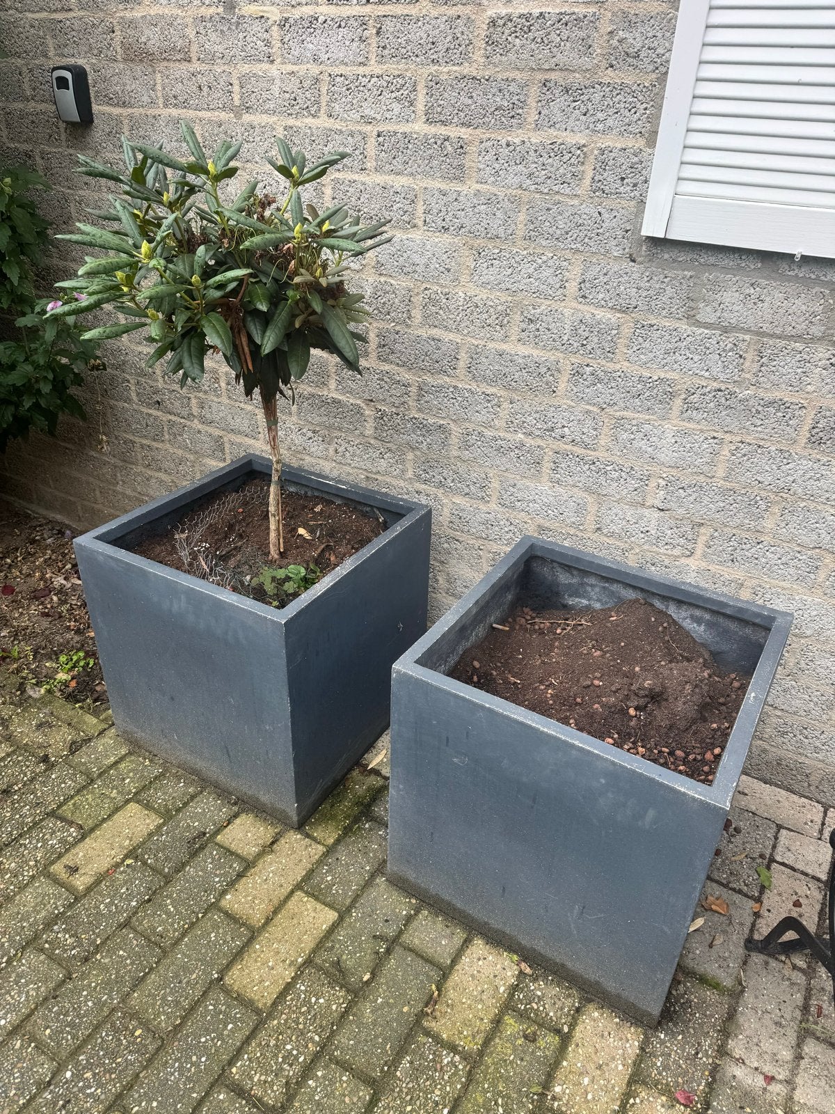 Grote vierkante plantenbakken van beton/steen, Tuin en Terras, Ophalen, Gebruikt, Vierkant, Binnen
