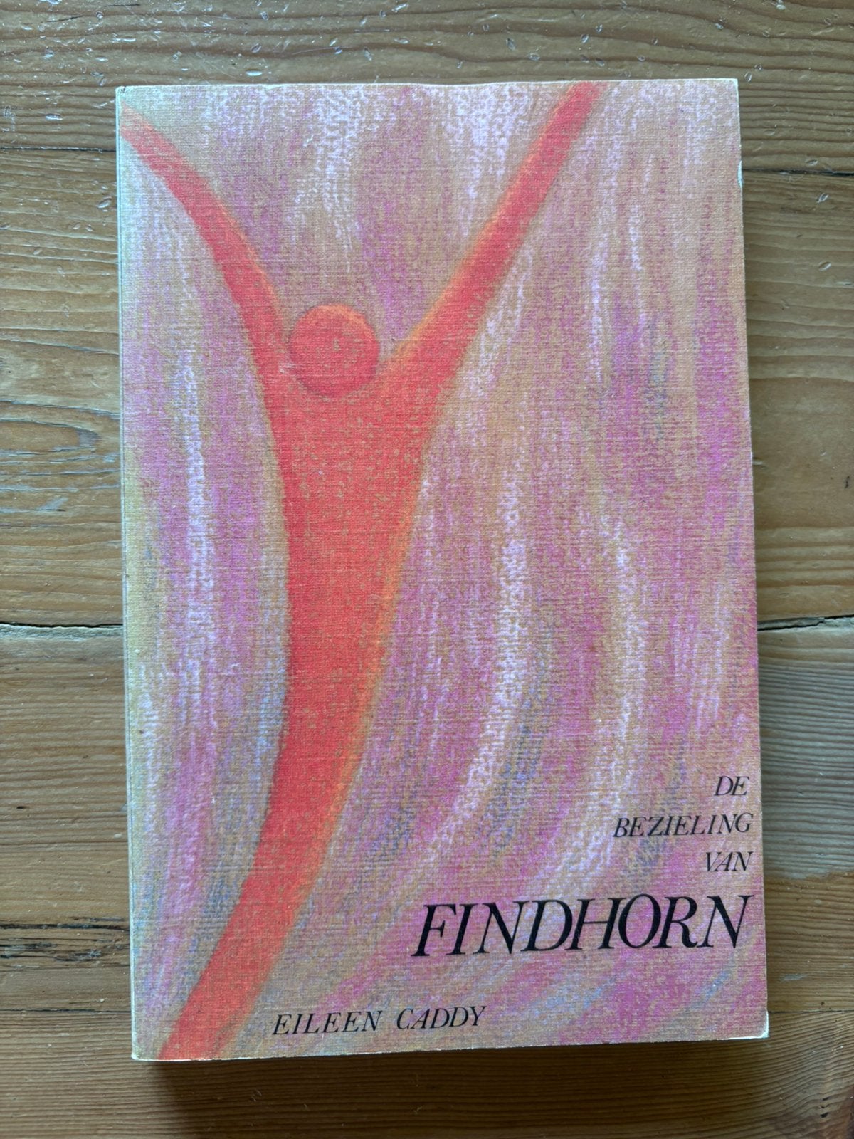 De bezieling van Findhorn - Eileen Caddy, Boeken, Ophalen of Verzenden, Gelezen, Spiritualiteit algemeen, Achtergrond en Informatie