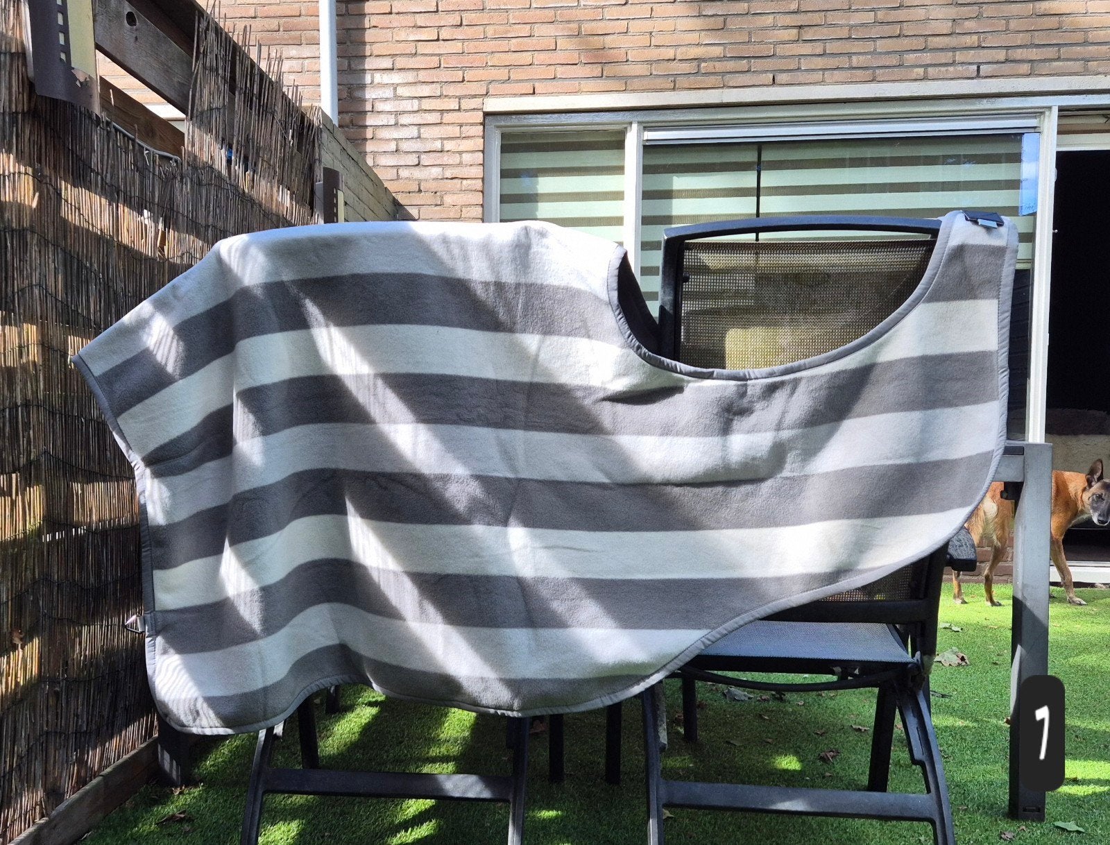 Diverse dekens, t.e.a.b., Dieren en Toebehoren, Paarden en Pony's | Dekens en Dekjes, Ophalen