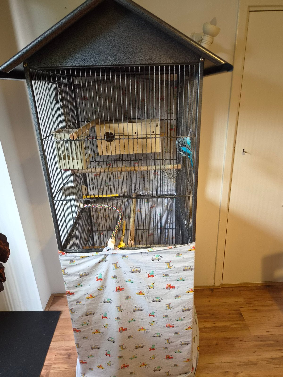 Vogelkooi, Dieren en Toebehoren, Ophalen of Verzenden