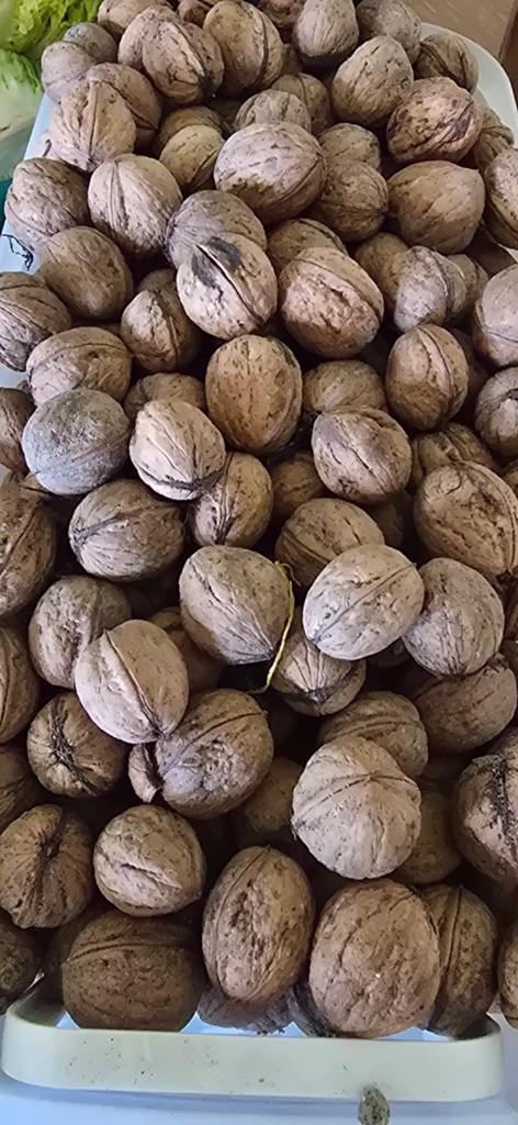 Biologische walnoten 2,5 kg, Diversen, Levensmiddelen, Ophalen