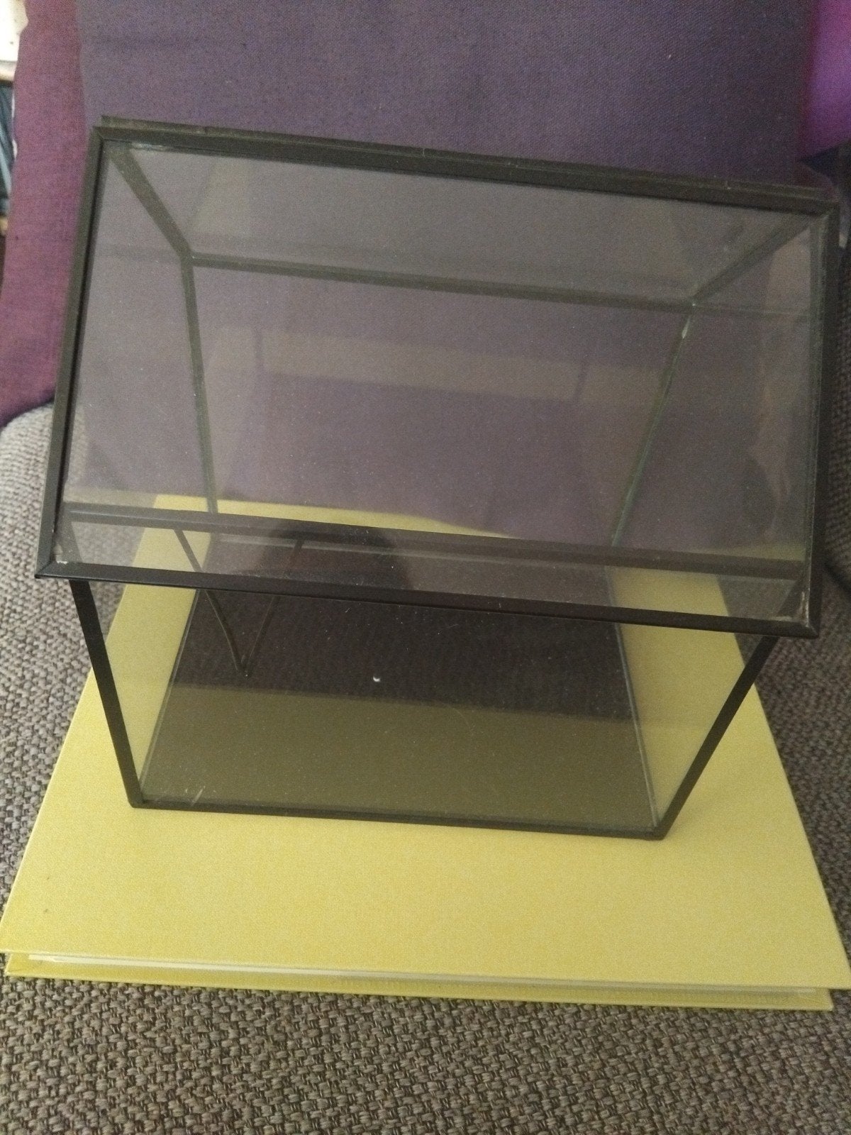 Glazen Terrarium/Display Box - Zwart Metaal, Huis en Inrichting, Zwart, Ophalen of Verzenden, Zo goed als nieuw, Modern