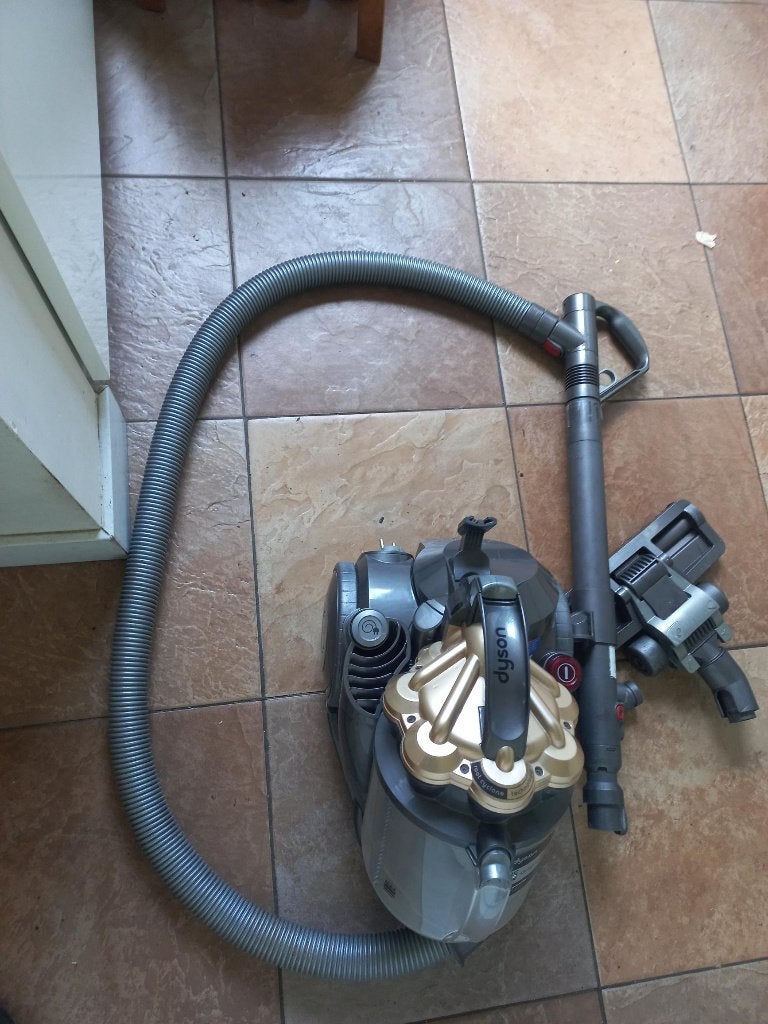 stofzuiger DYSON DC 29 in nette staat bieden vanaf 70E, Ophalen of Verzenden, Gebruikt, 1200 tot 1600 watt
